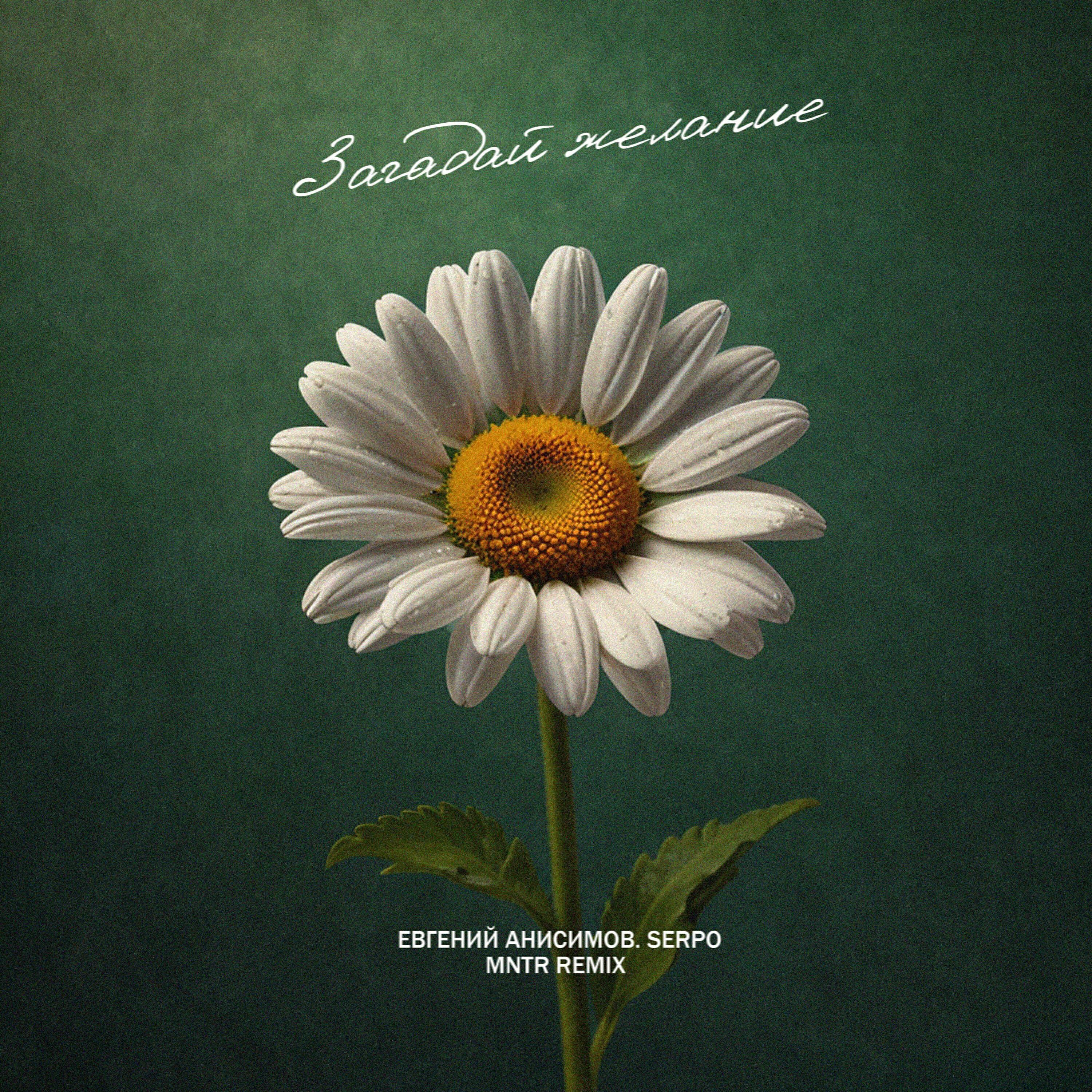 Евгений Анисимов все песни в mp3