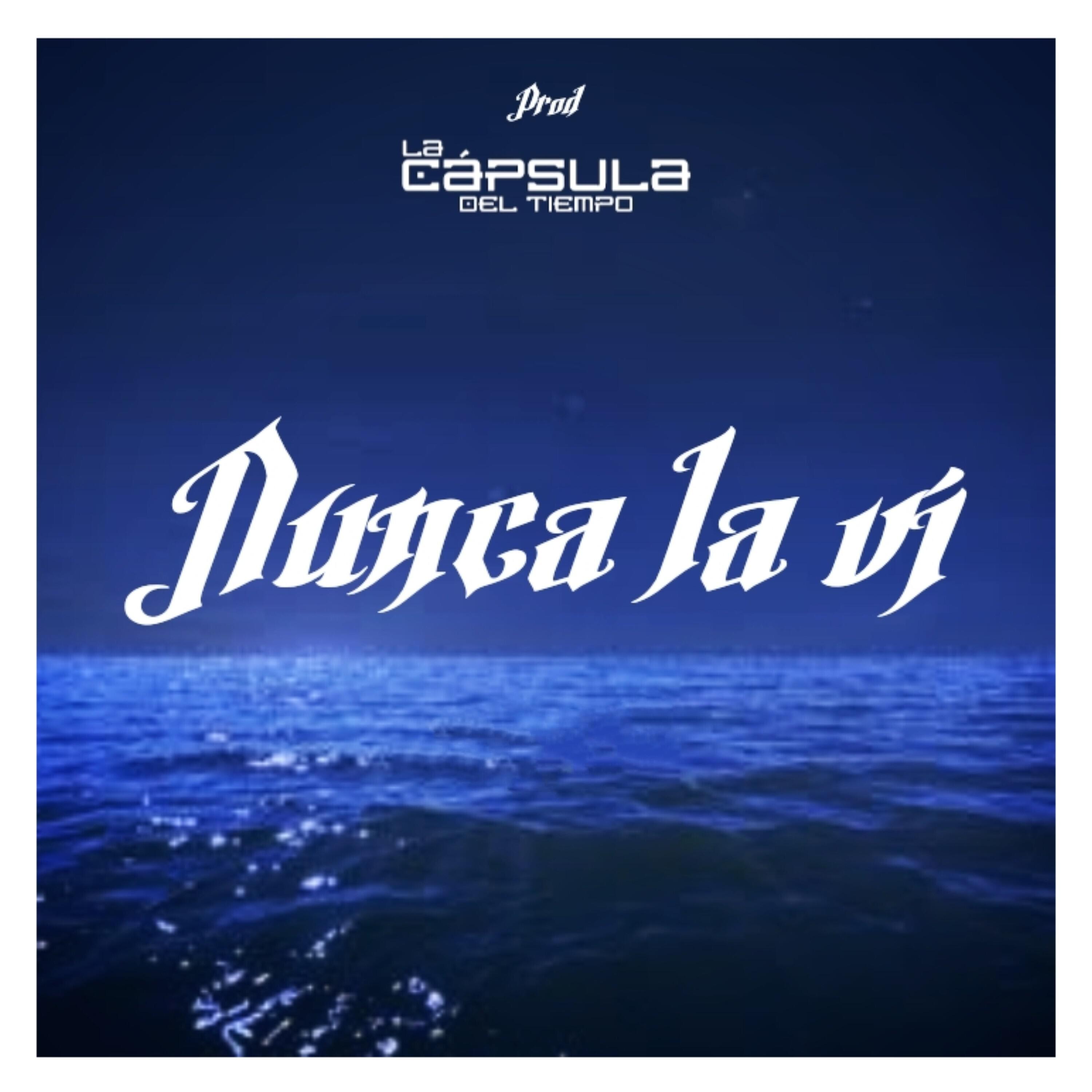 DMK - Nunca la Vi