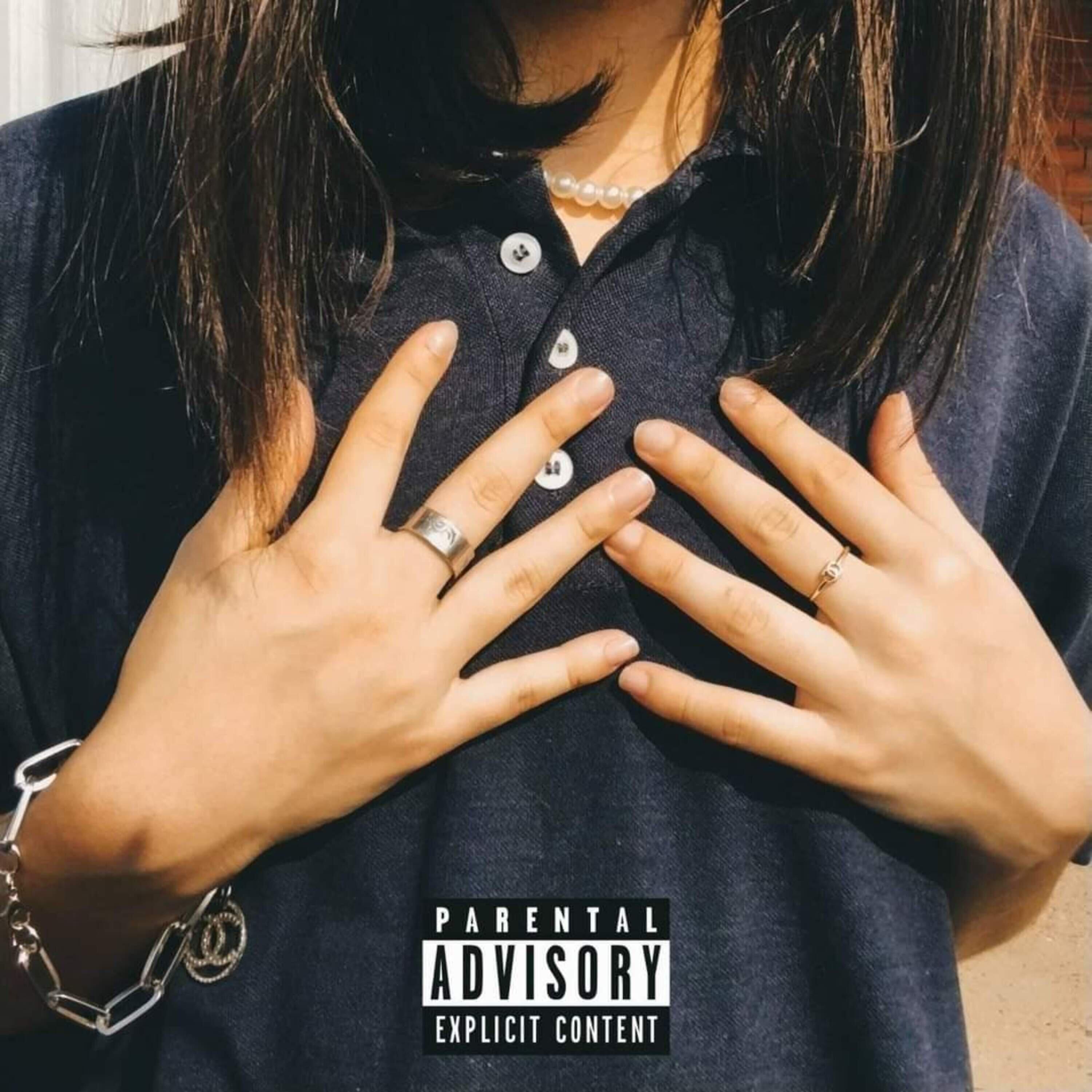 TheBoySurf - Viajante