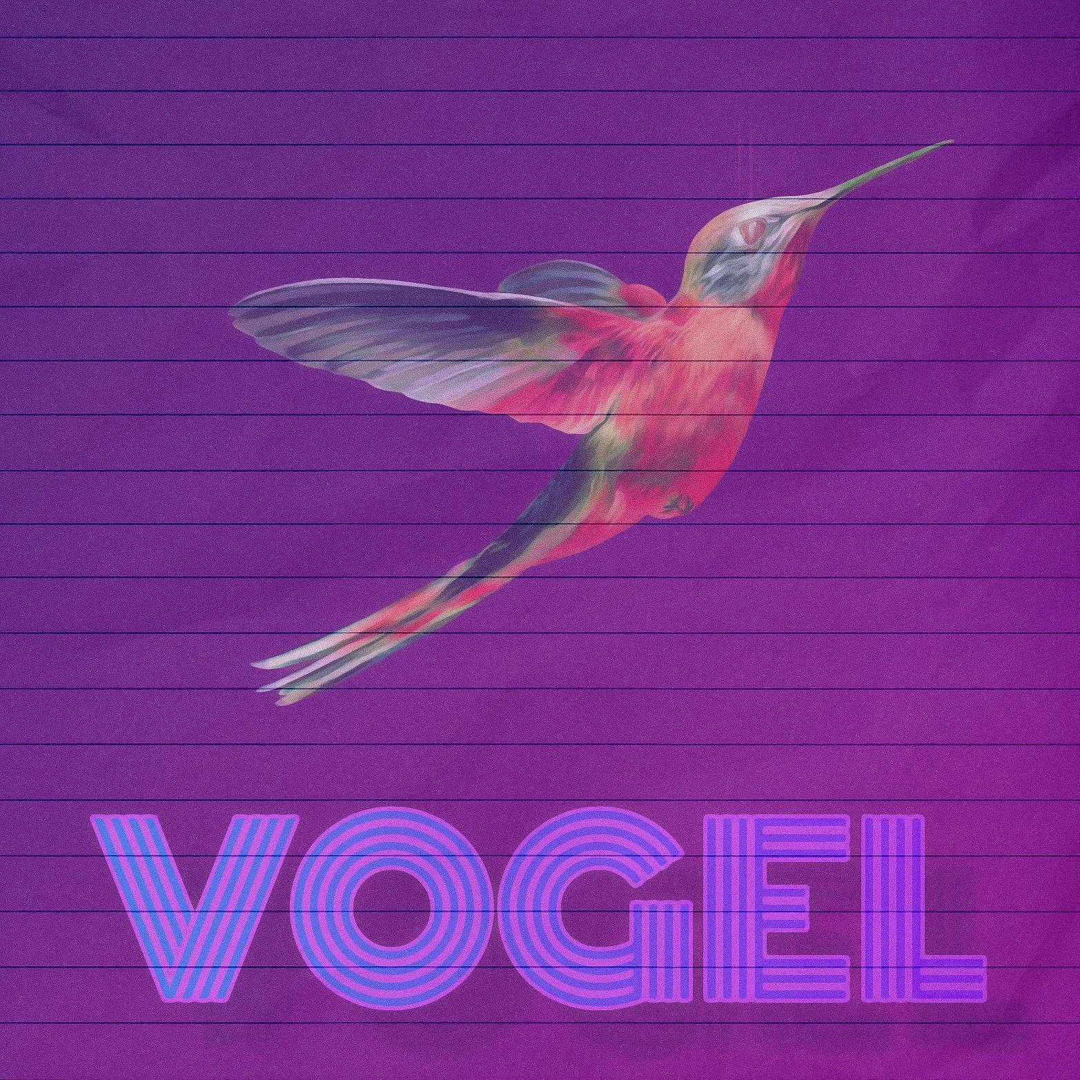 Постер альбома Vogel