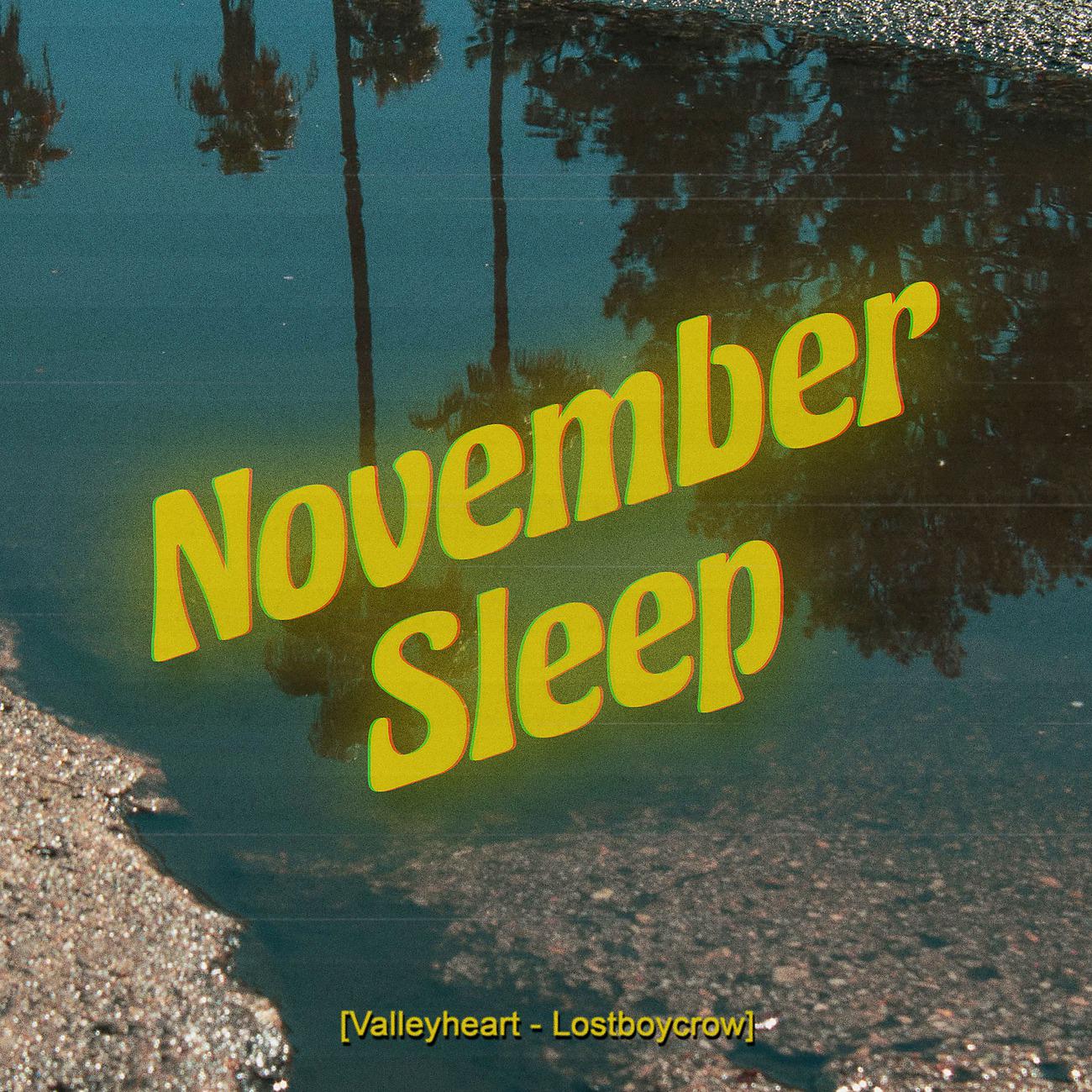 Постер альбома November Sleep
