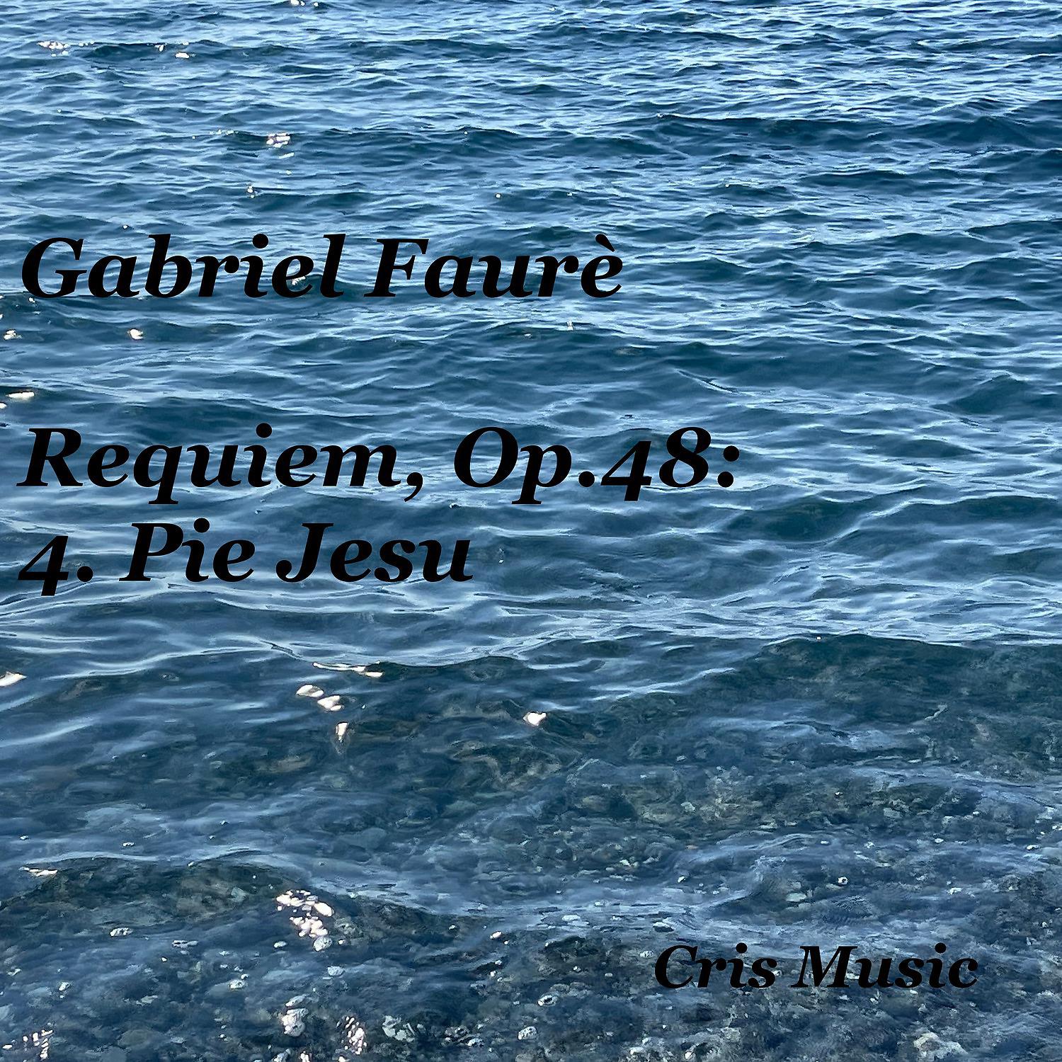 Постер альбома Gabriel Fauré: Requiem, Op.48: 4. Pie Jesu