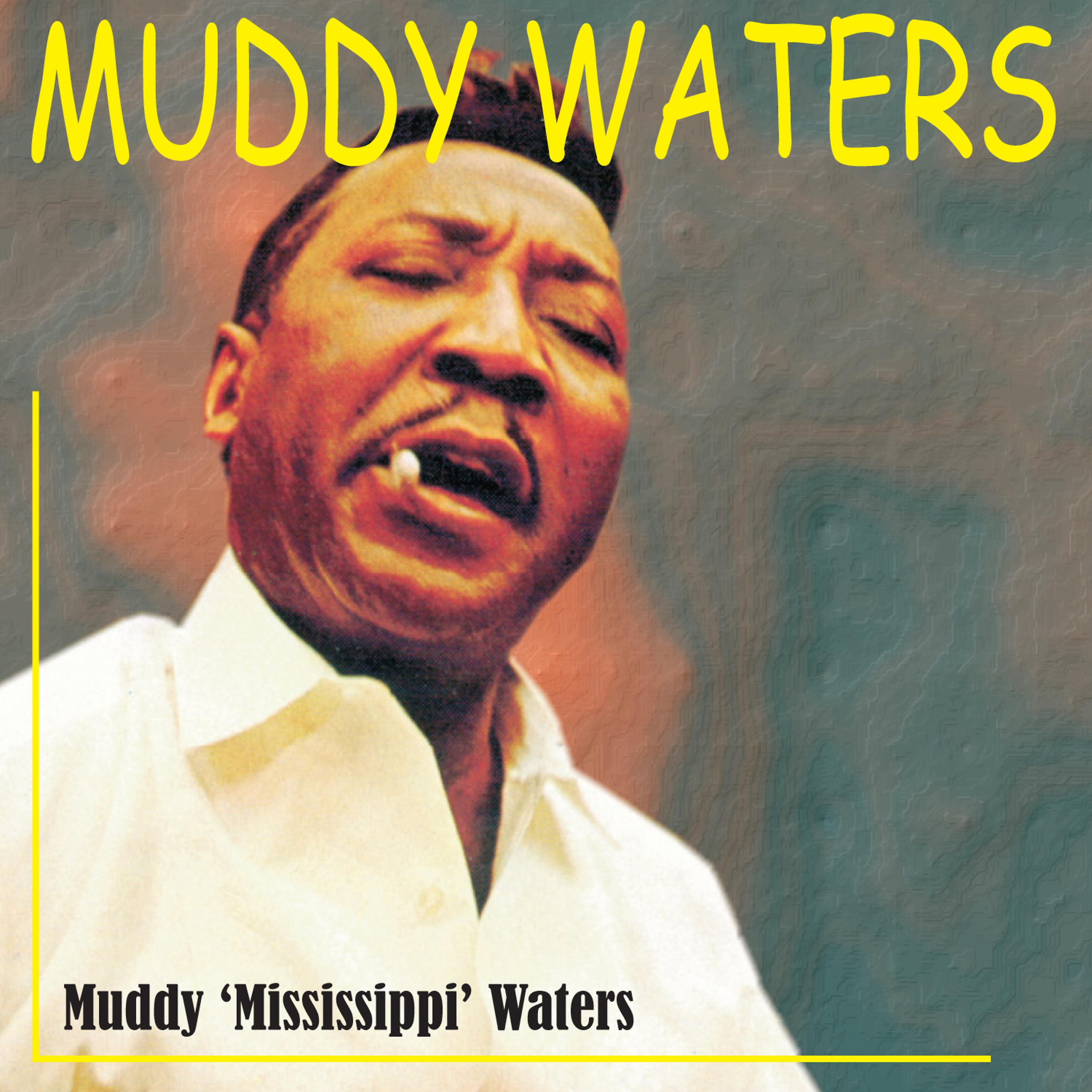 Постер альбома Muddy 'Mississippi' Waters Live