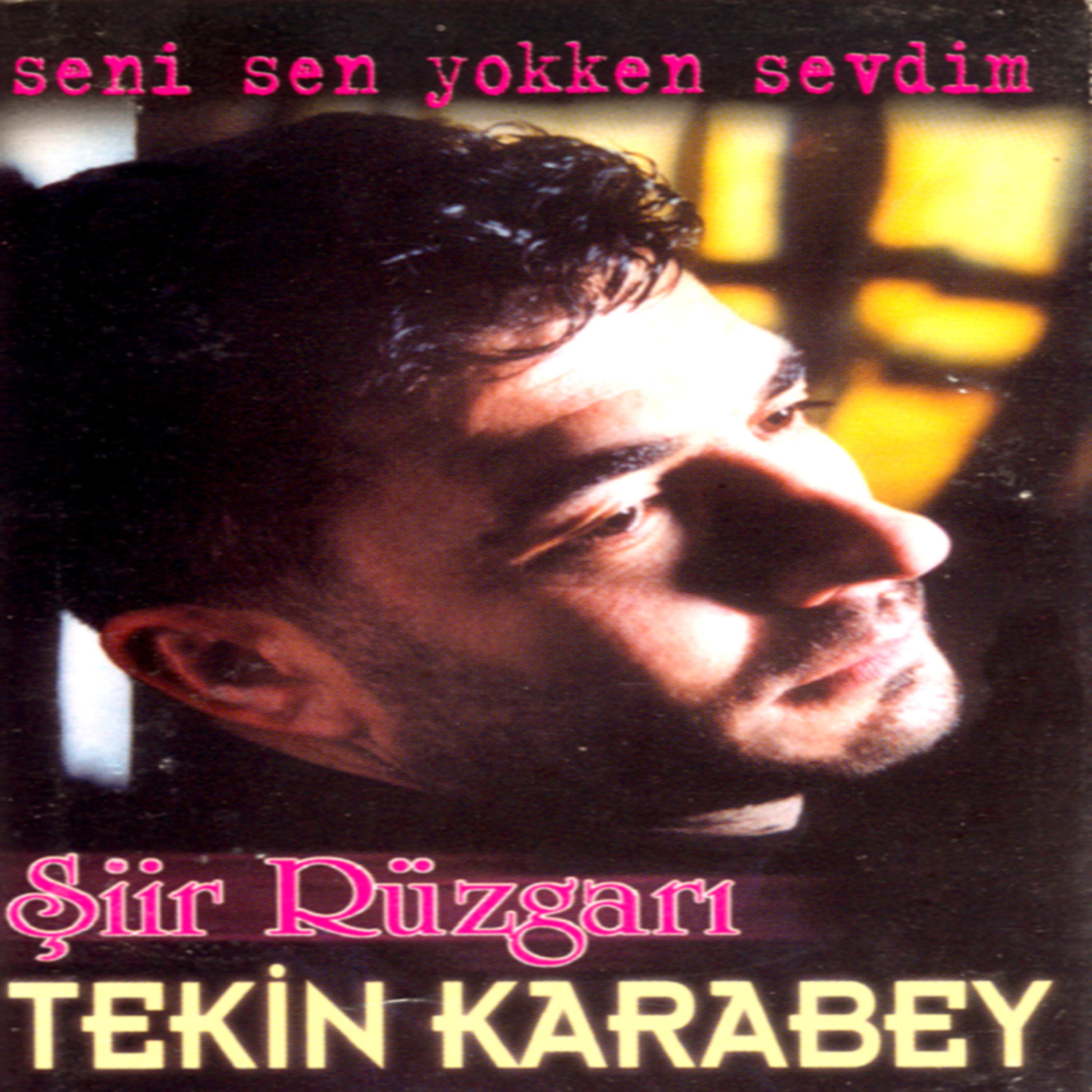 Постер альбома Zamansiz Ölüm