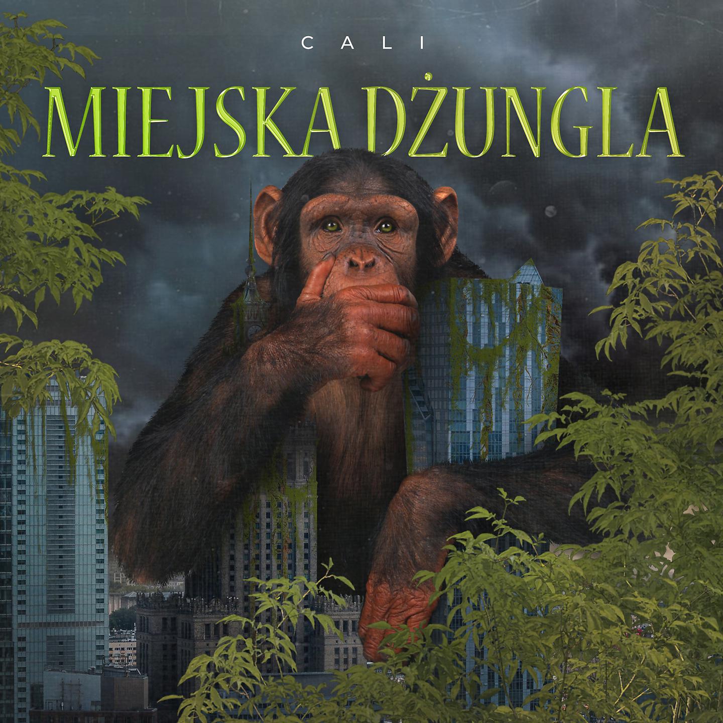 Постер альбома Miejska Dżungla