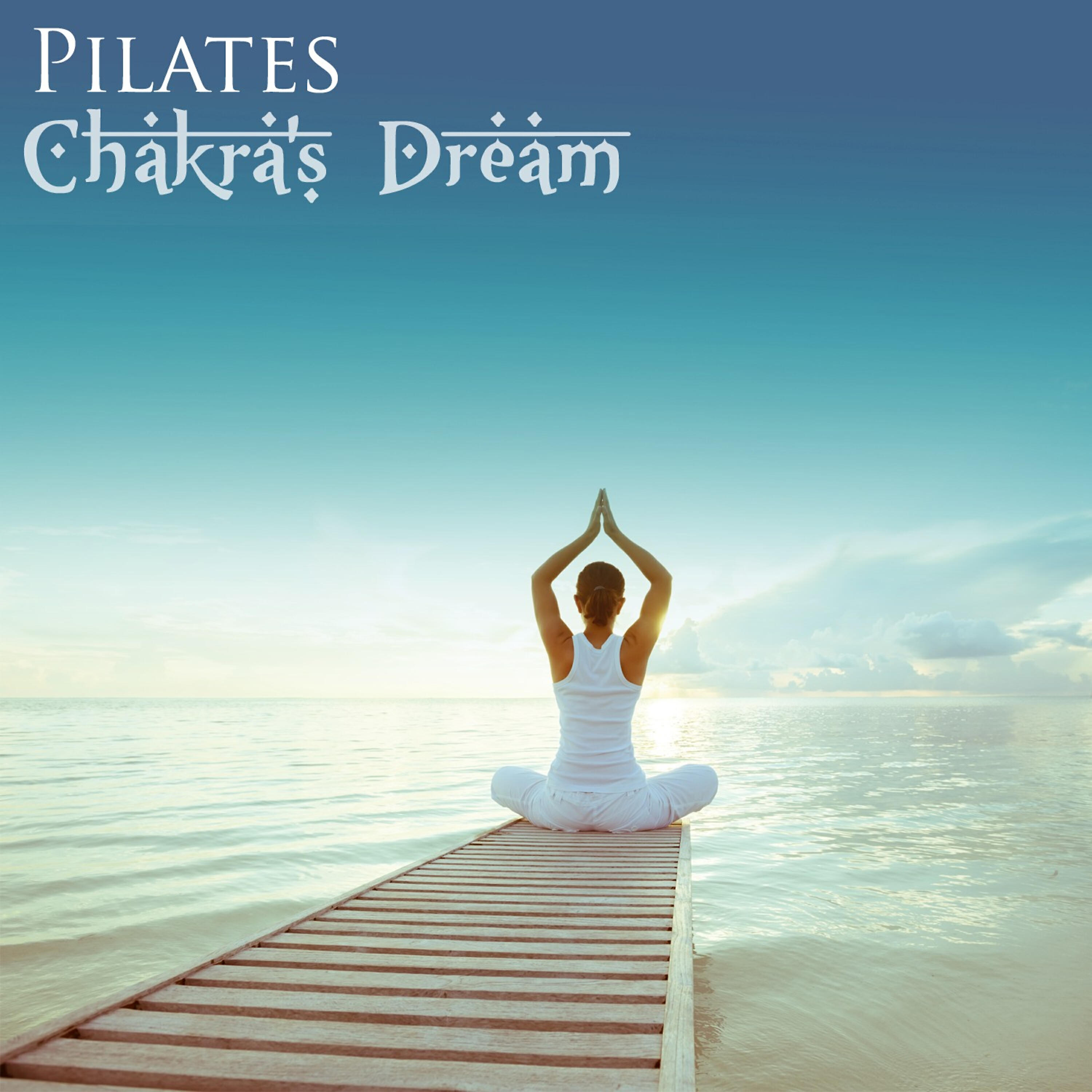 Chakra's Dream - Control