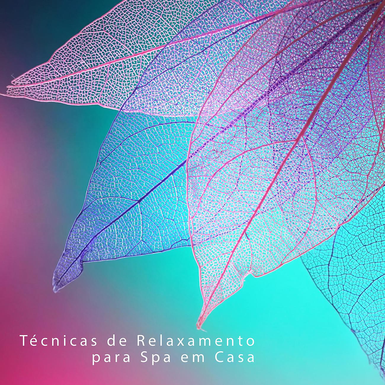 Постер альбома Técnicas de Relaxamento para Spa em Casa