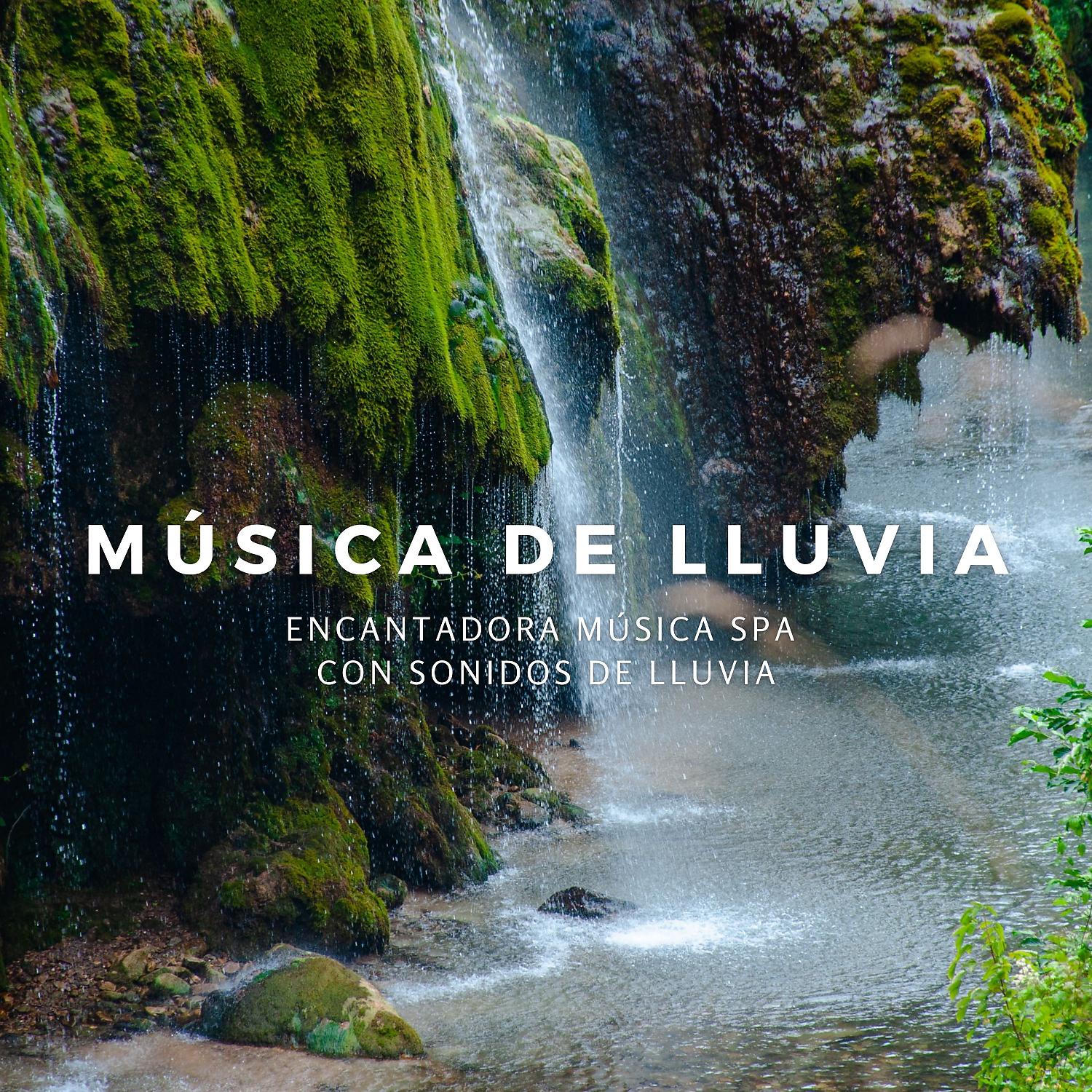 Постер альбома Música De Lluvia: Encantadora Música Spa Con Sonidos De Lluvia