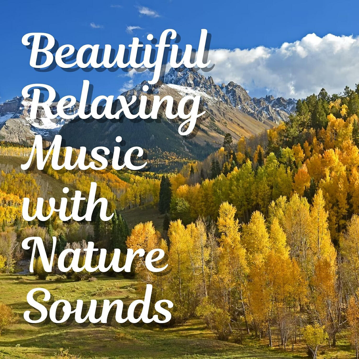 Weather - Joyful Vibrancy