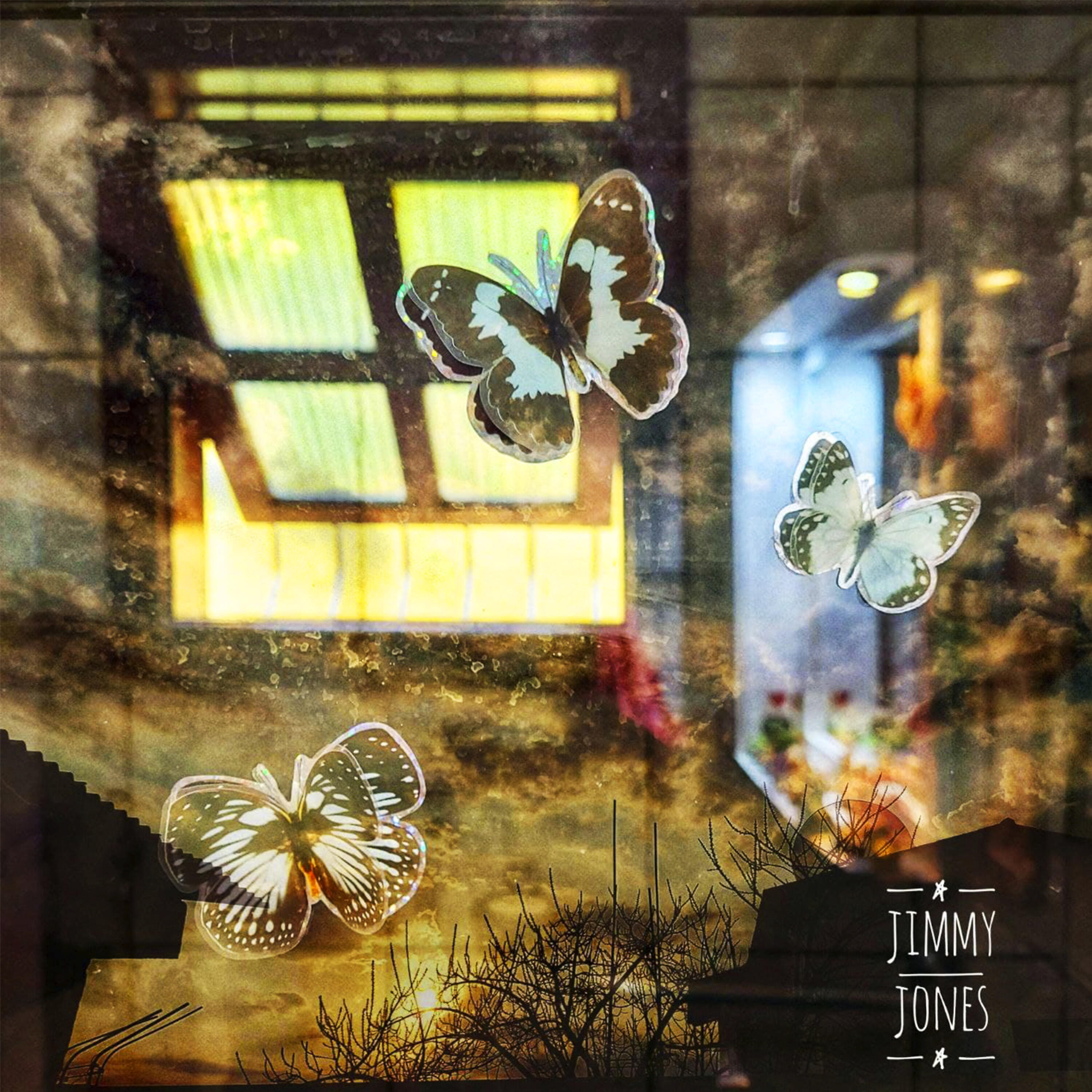 Jimmy Jones - Butterfly Stickers