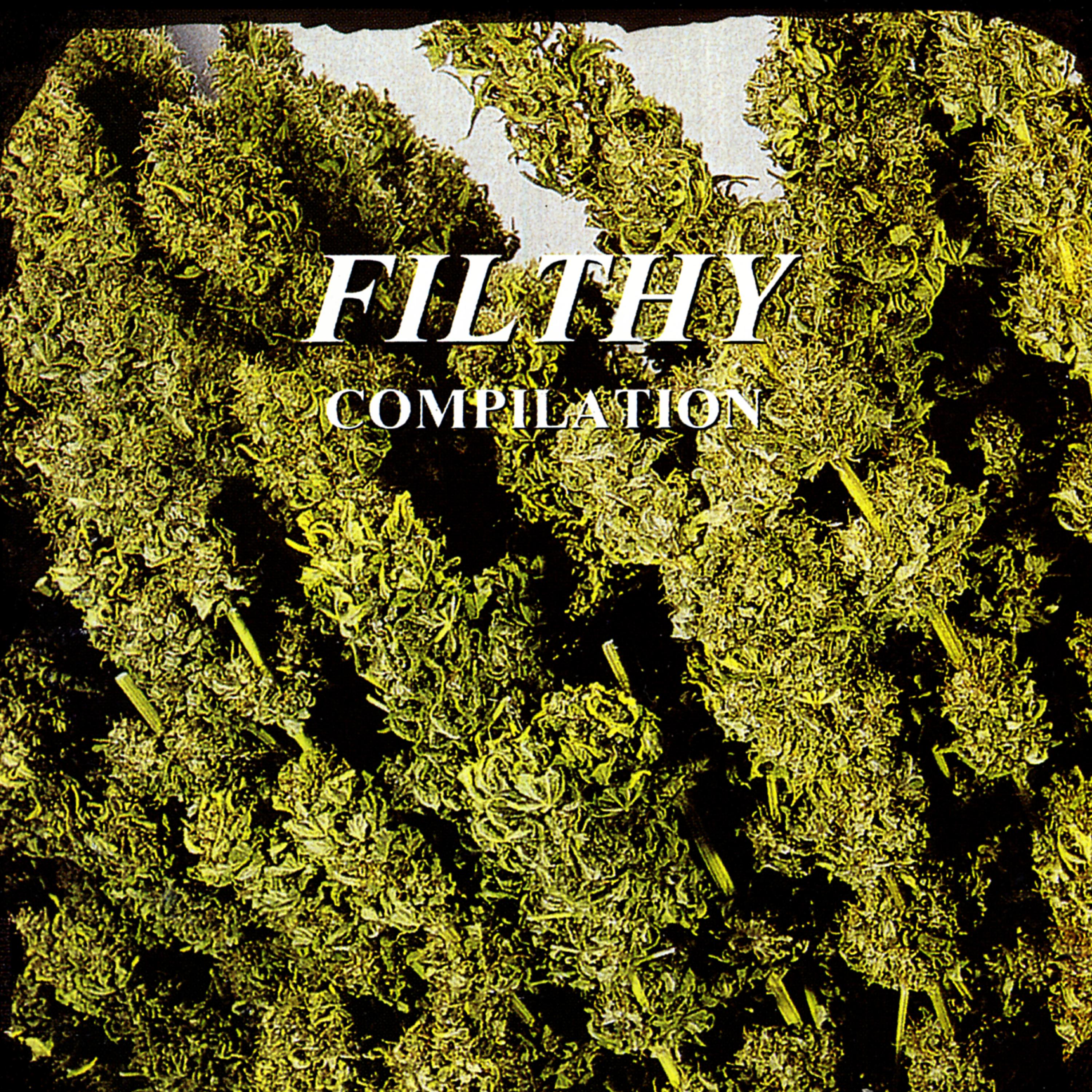 Постер альбома Filthy Compilation
