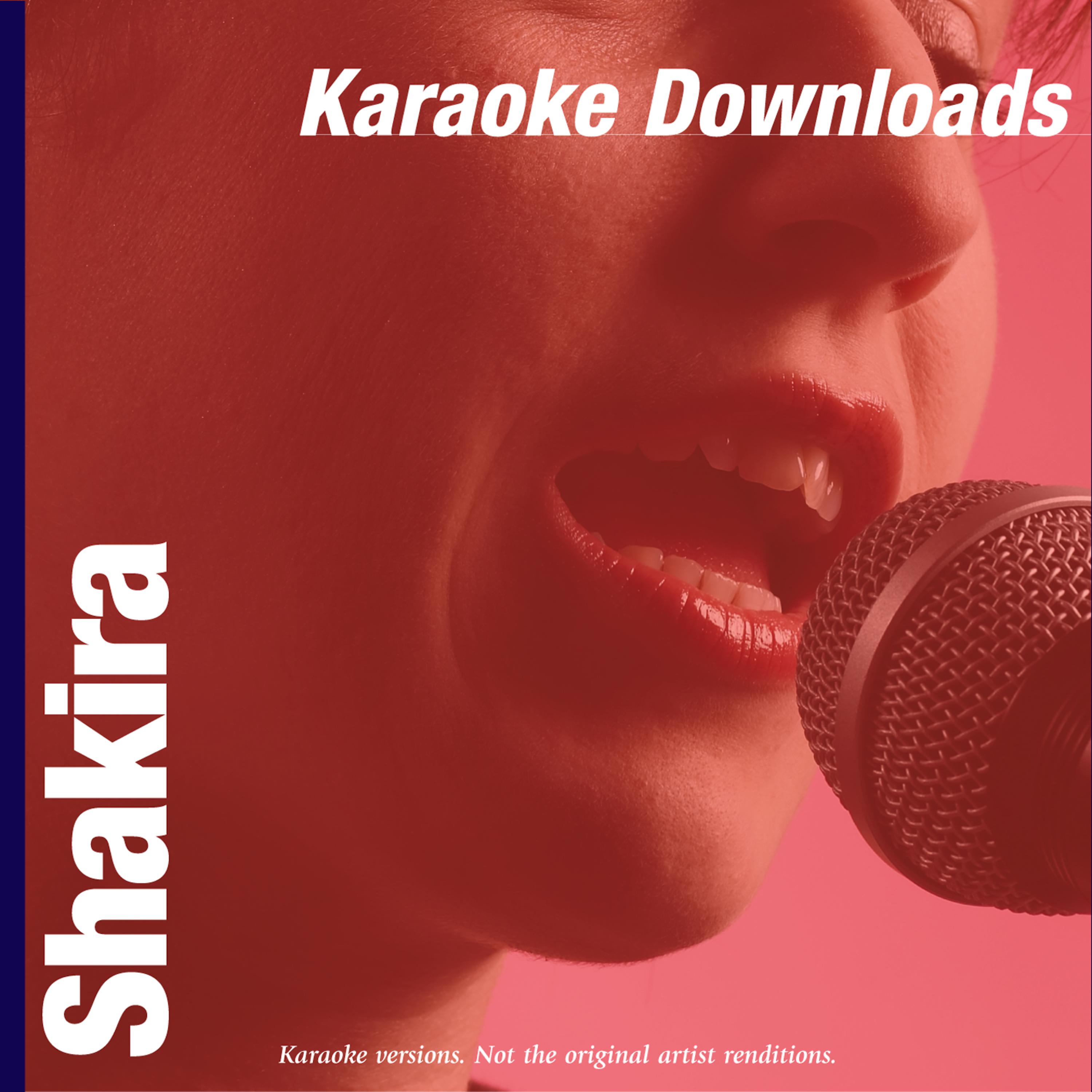 Постер альбома Karaoke Downloads - Shakira