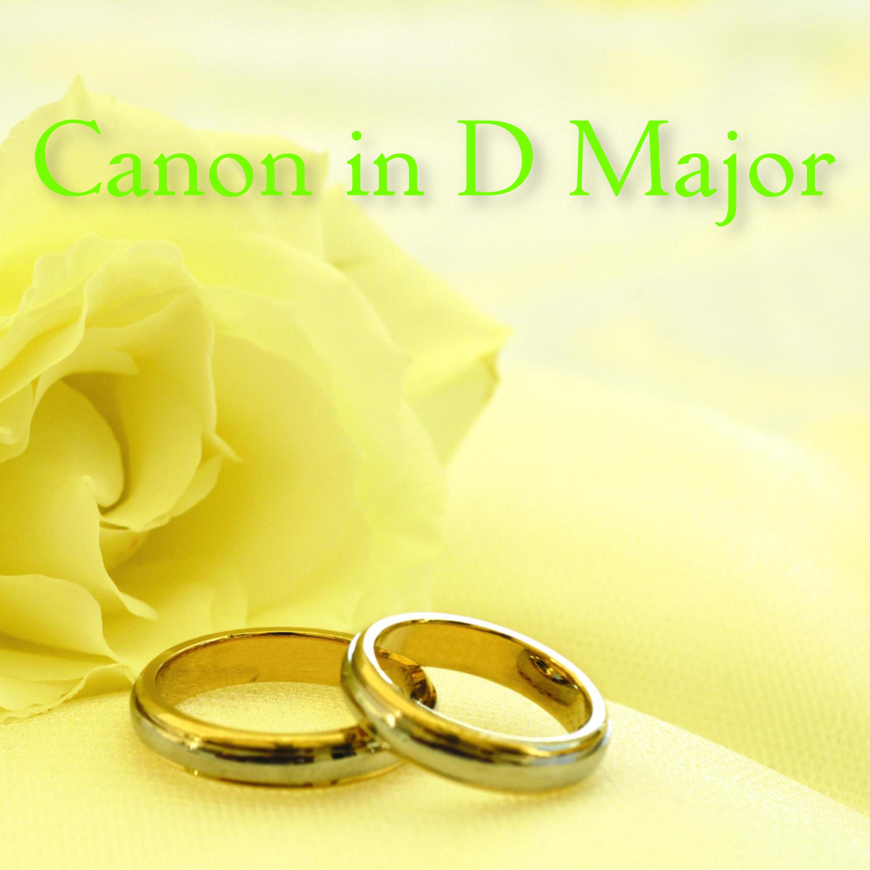 The O'Neill Brothers - Canon In D Major