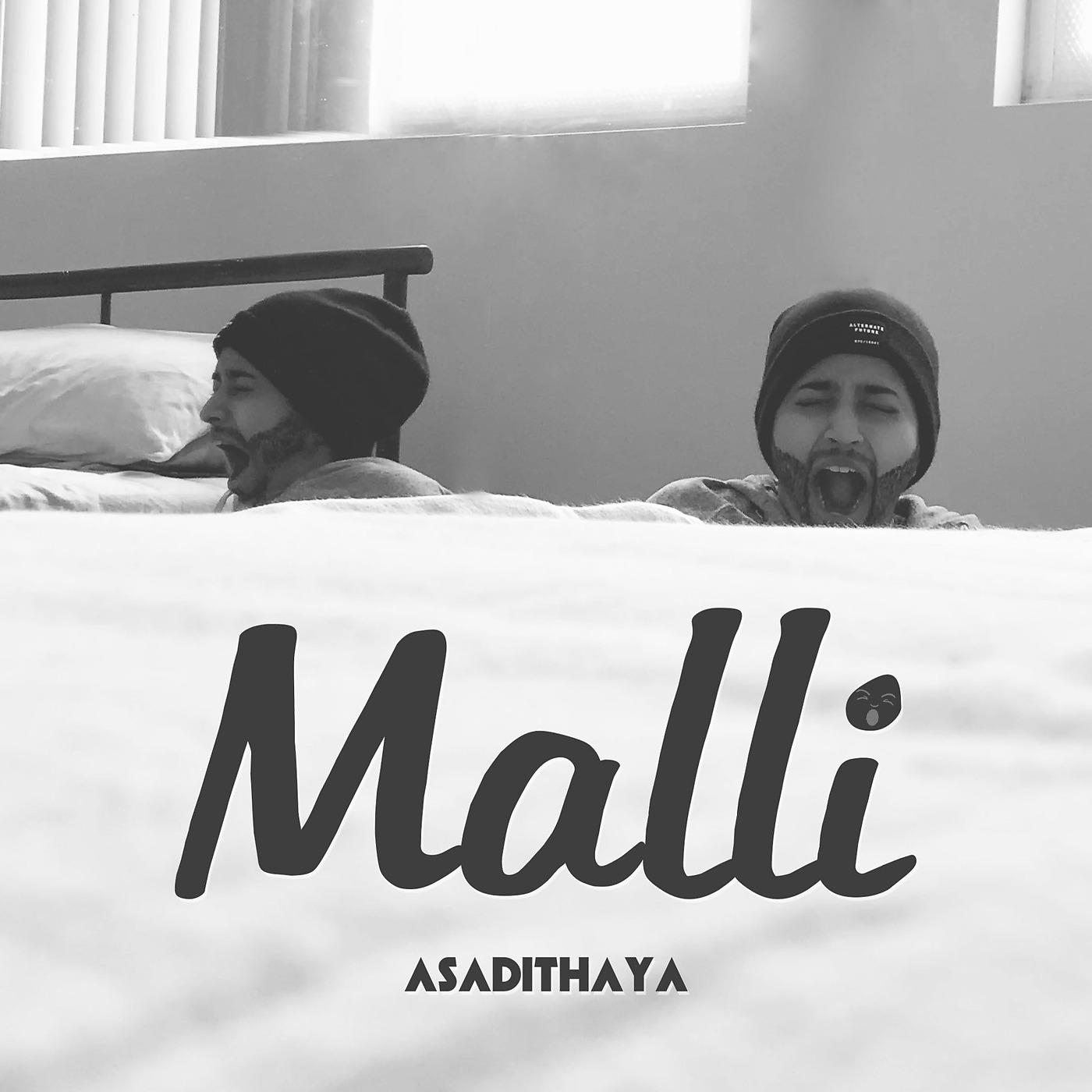 Постер альбома Malli