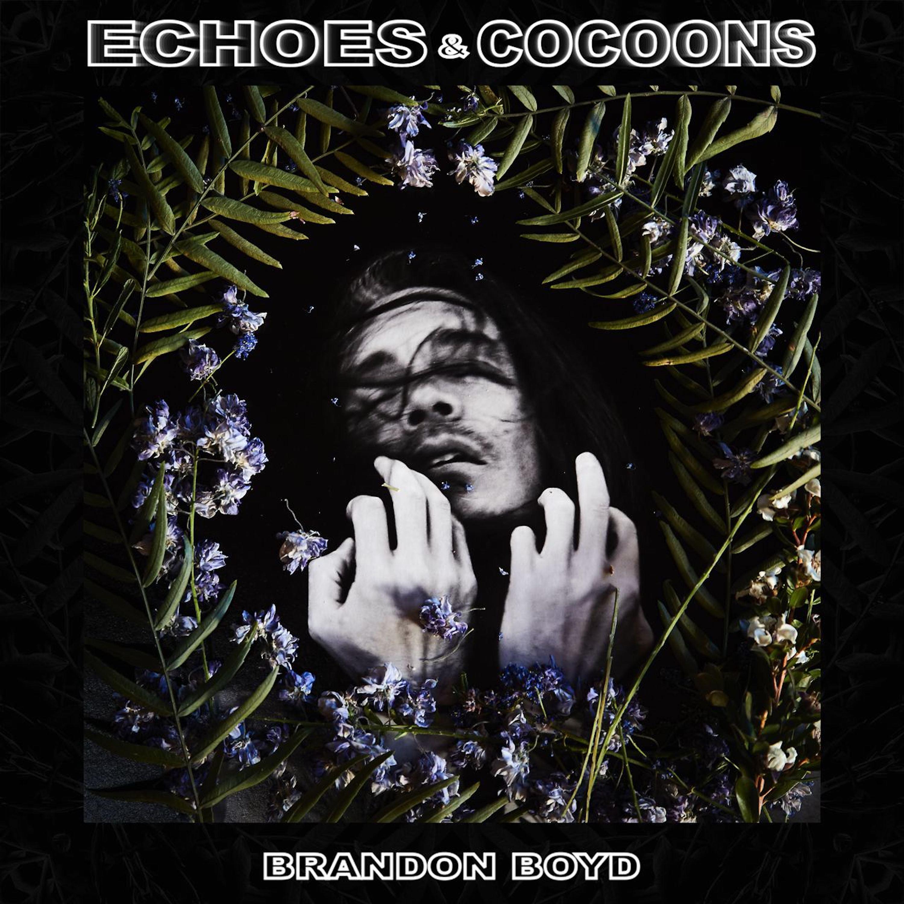 Постер альбома Echoes & Cocoons