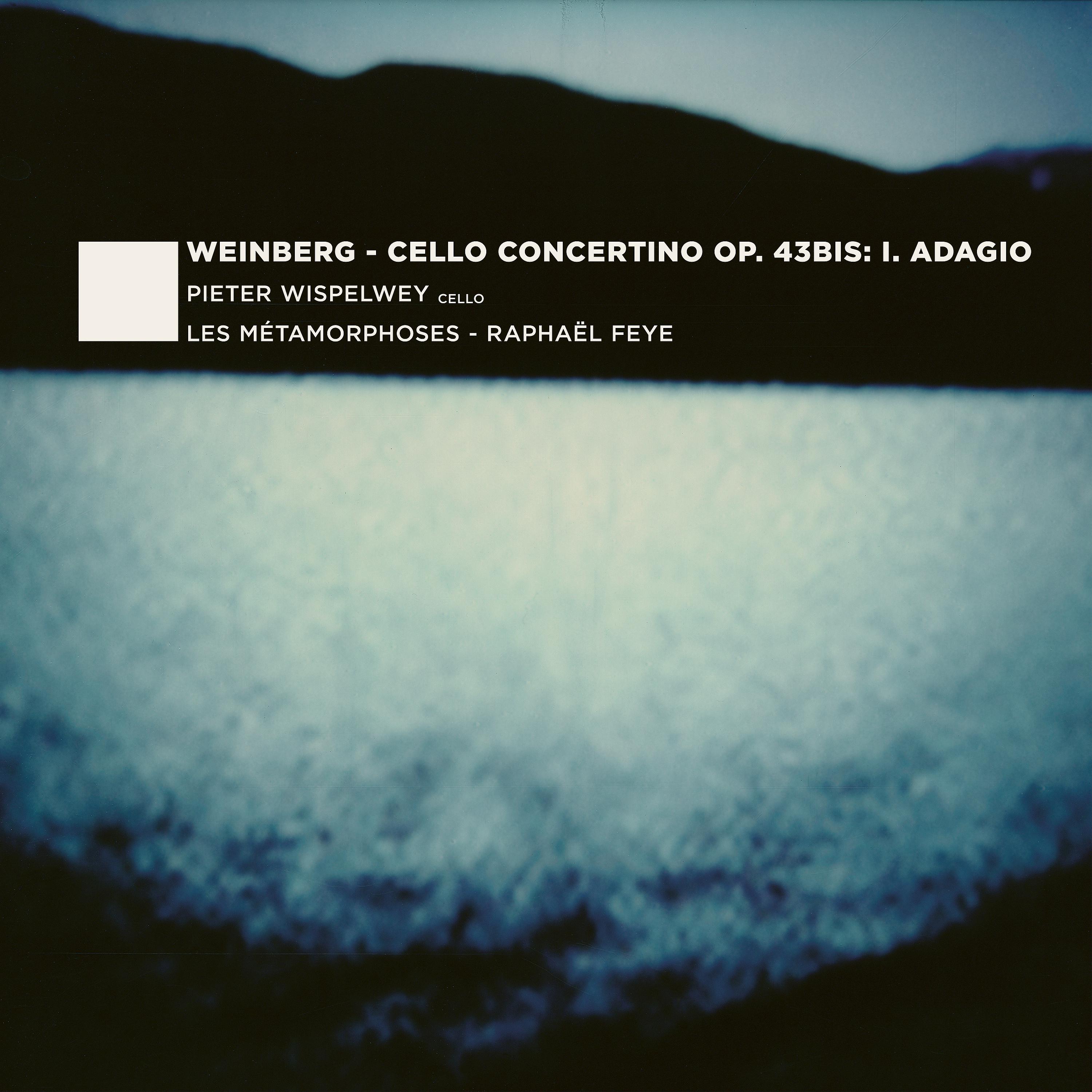 Постер альбома Cello Concertino Op. 43bis: I. Adagio