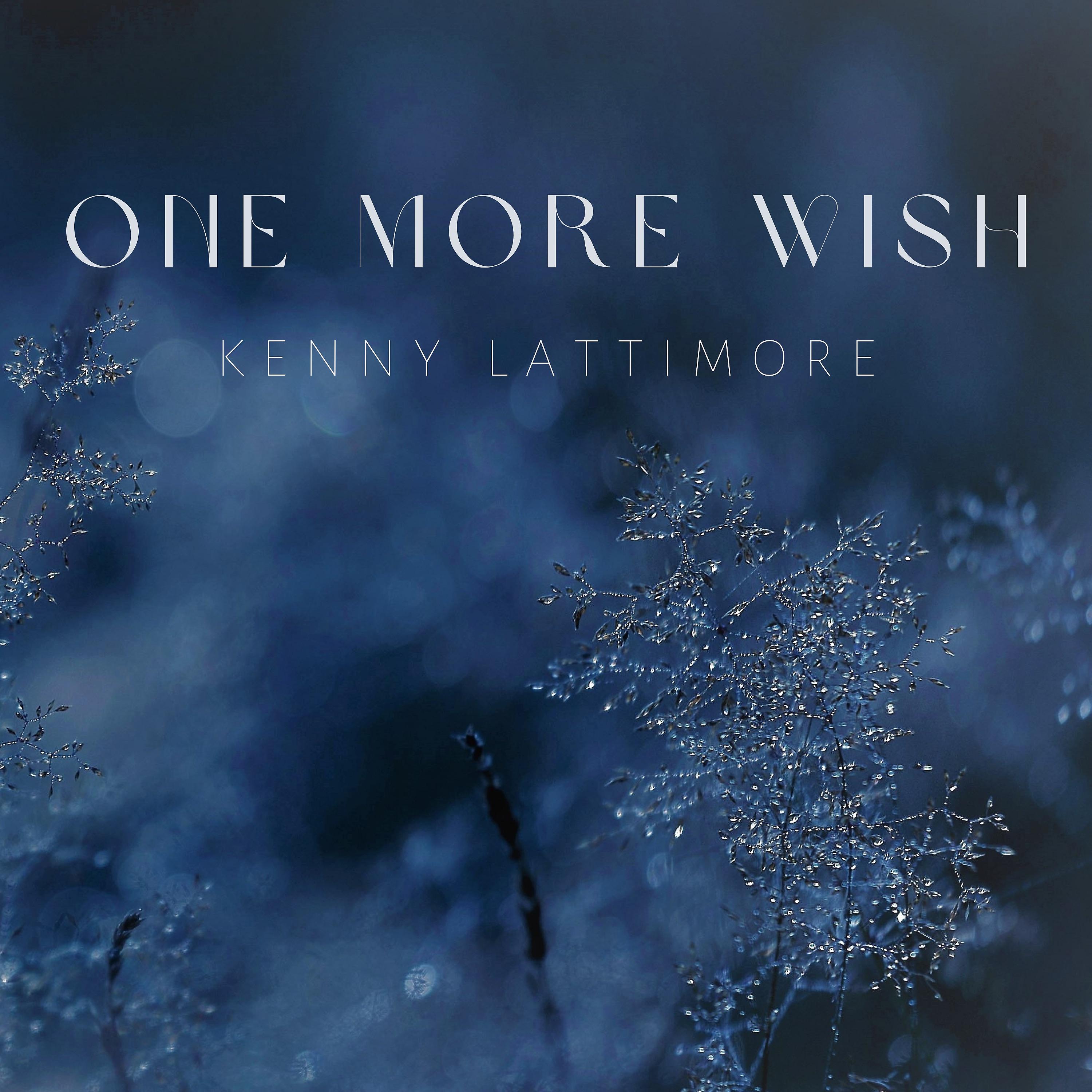 Постер альбома One More Wish
