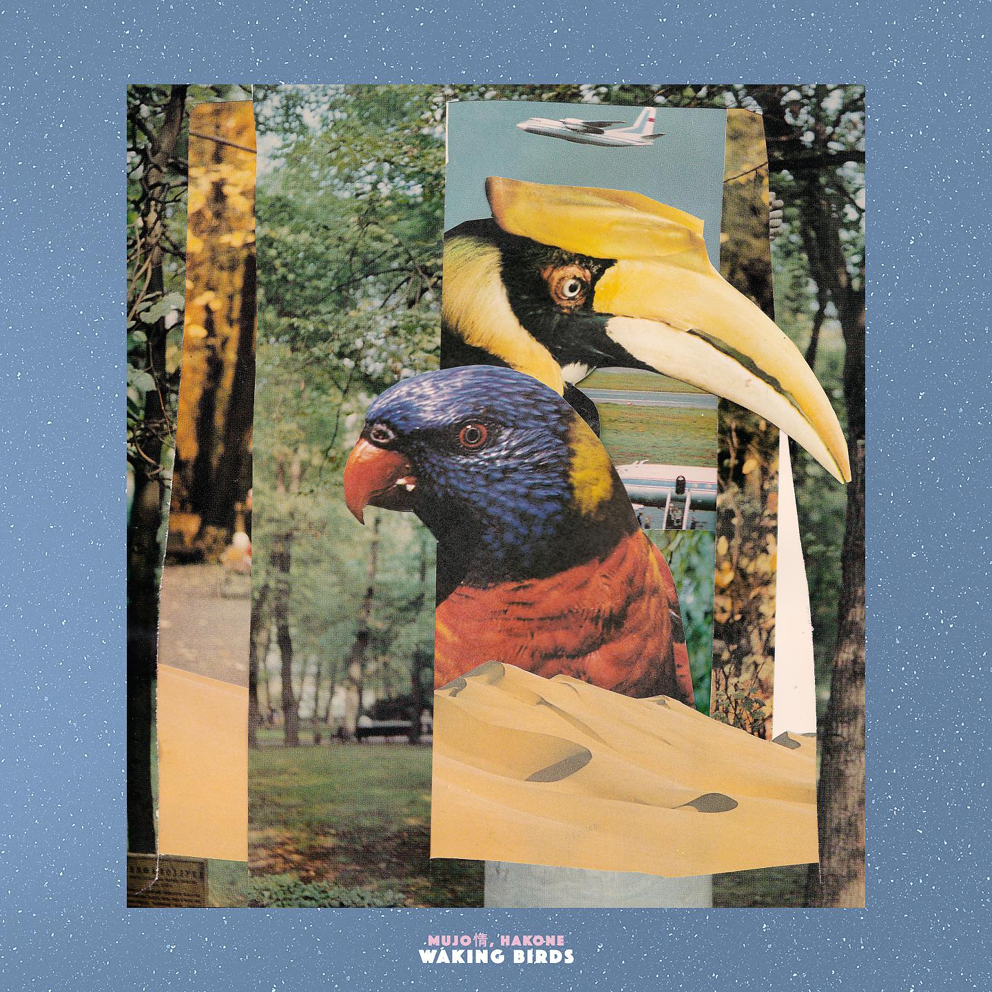 Постер альбома Waking Birds