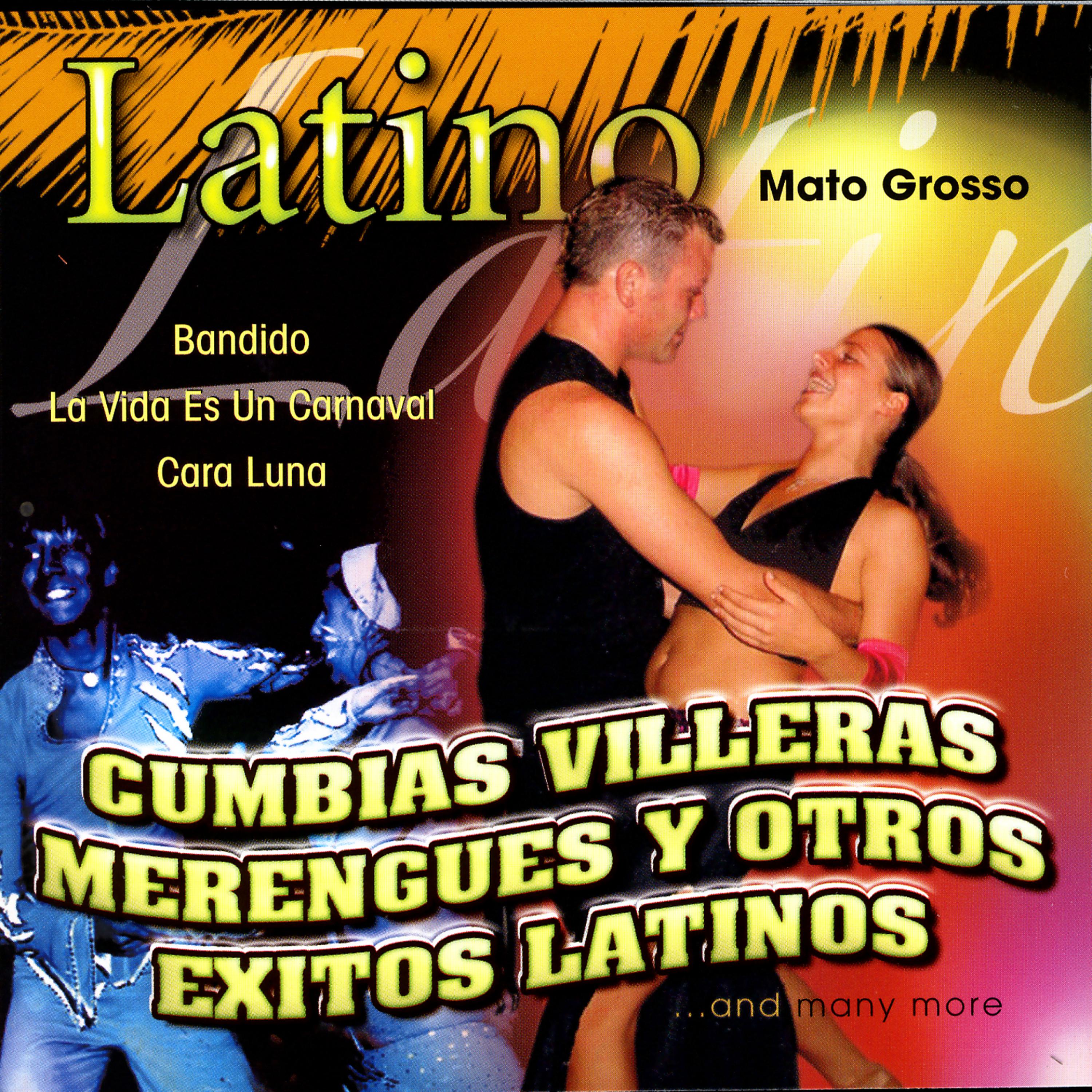 Постер альбома Cumbias Villeras, Merengues Y Otros Exitos Latinos