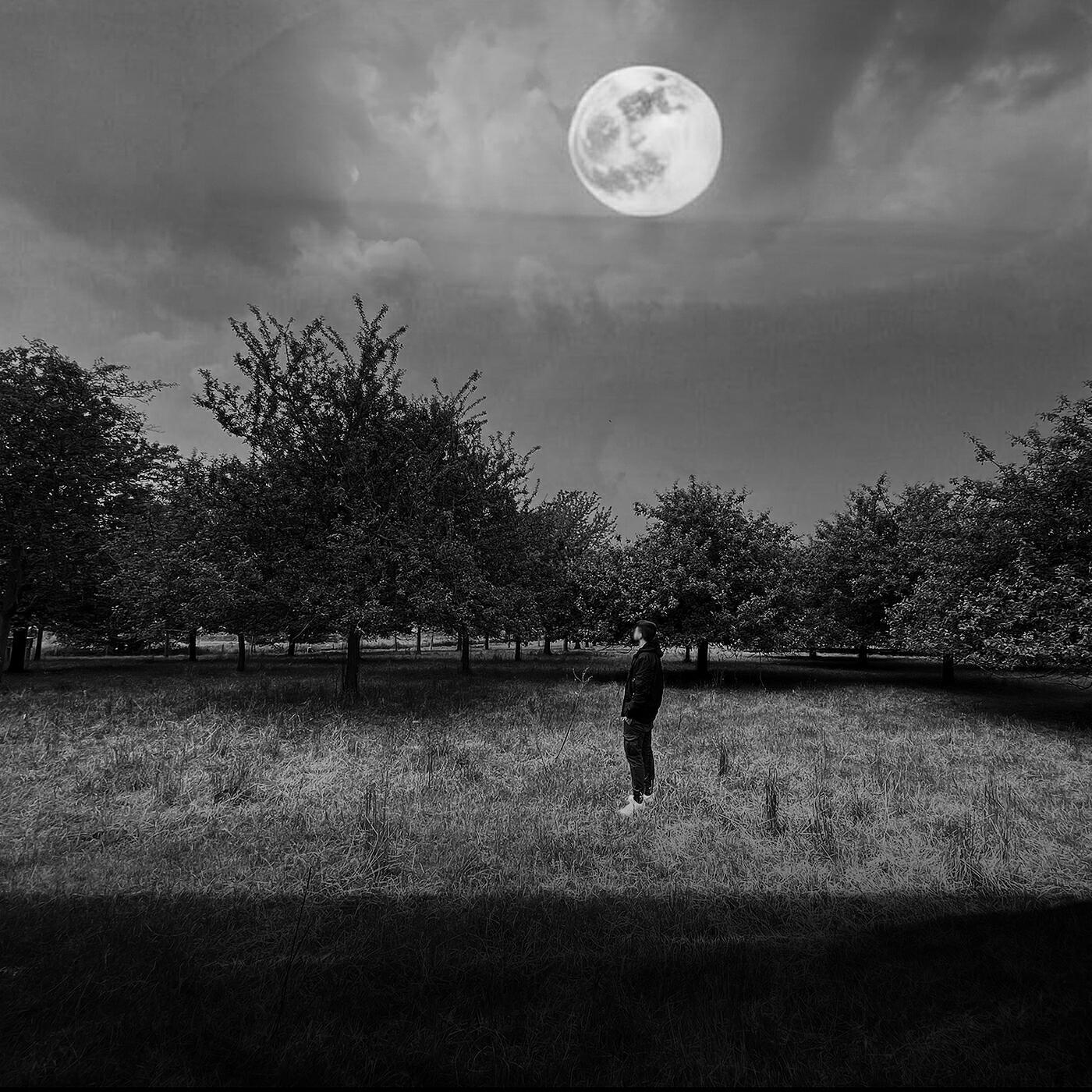 MVRTY все песни в mp3