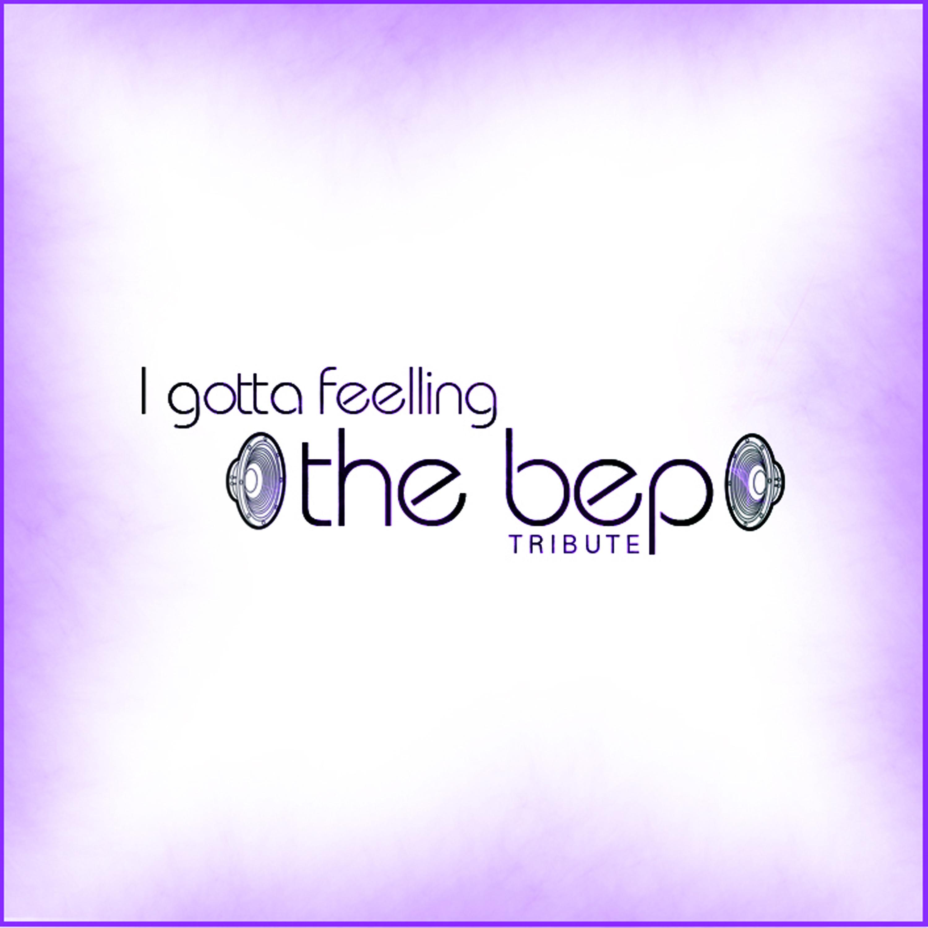 Постер альбома I gotta feelling the bep - Tribute
