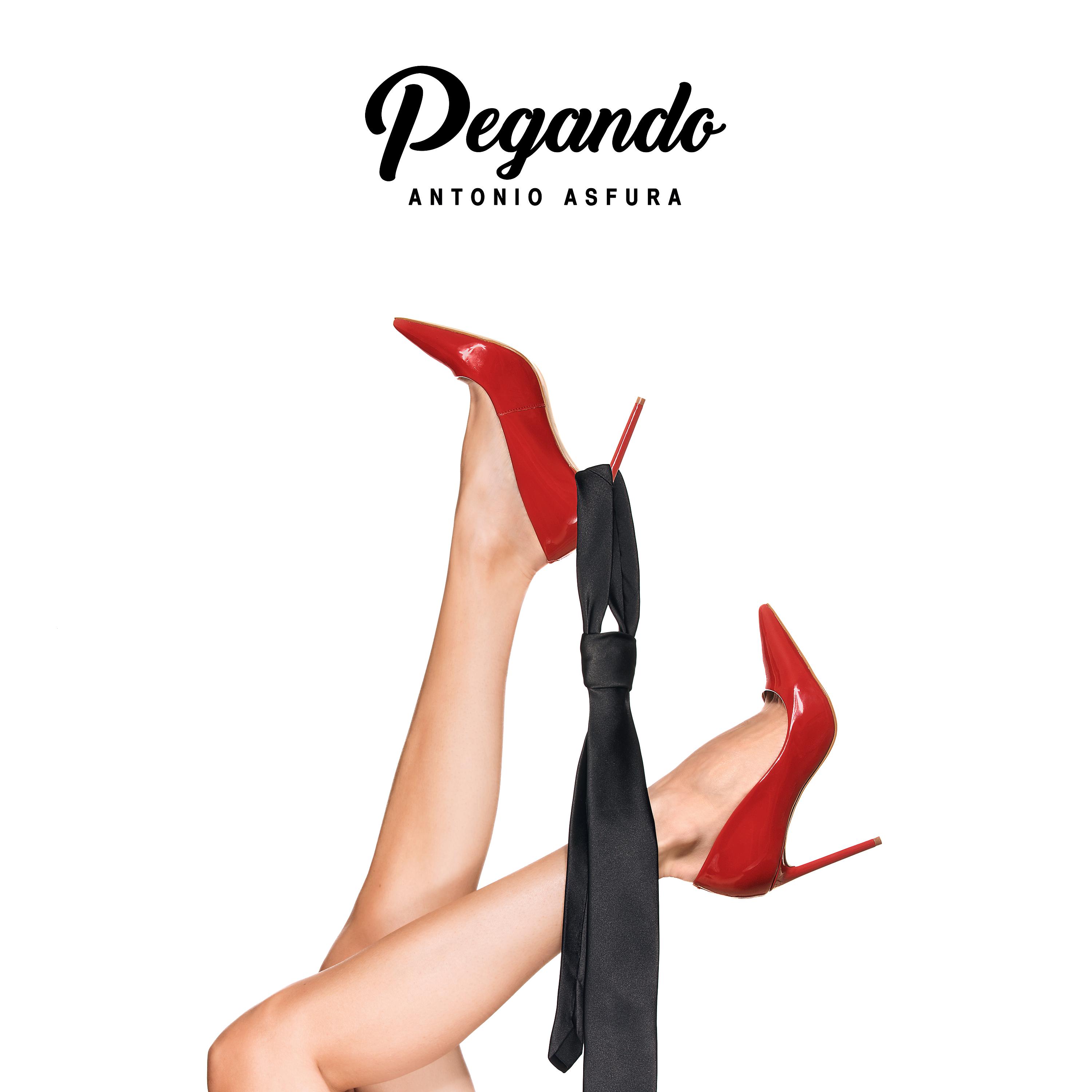 Постер альбома Pegando