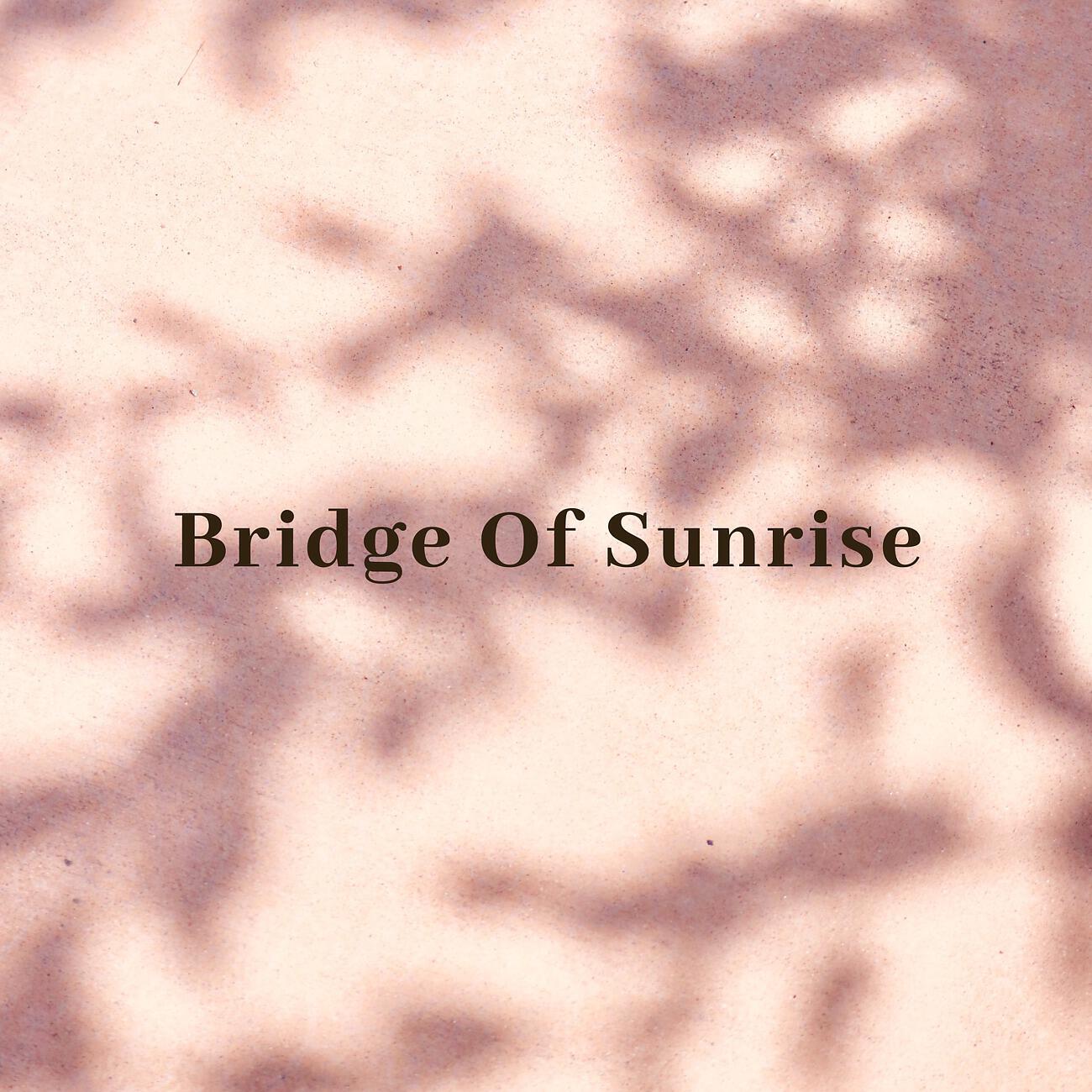 Brendan Black - Piano Concerto No.3 in D minor, Op.30:Ⅰ.Allegro ma non tanto (Remix)