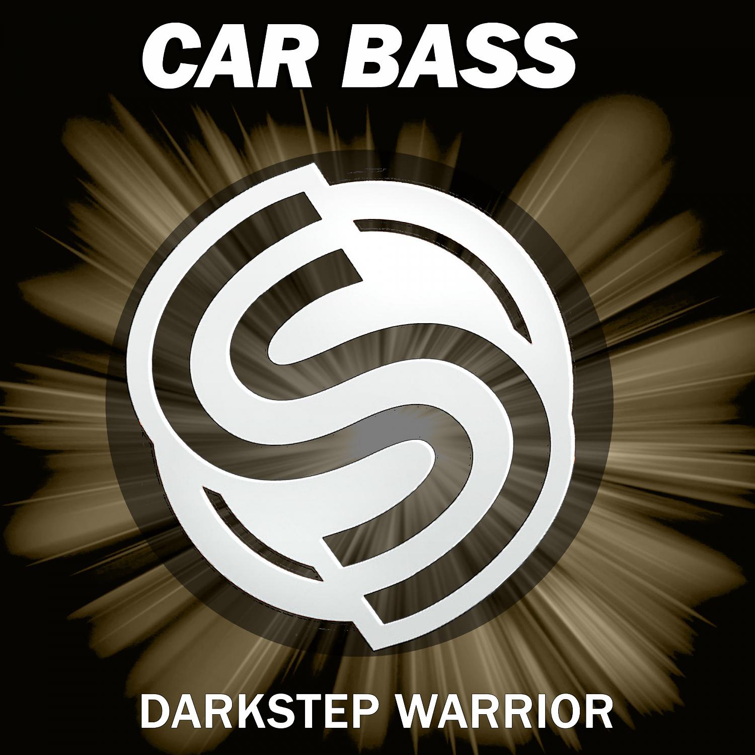 Постер альбома Darkstep Warrior