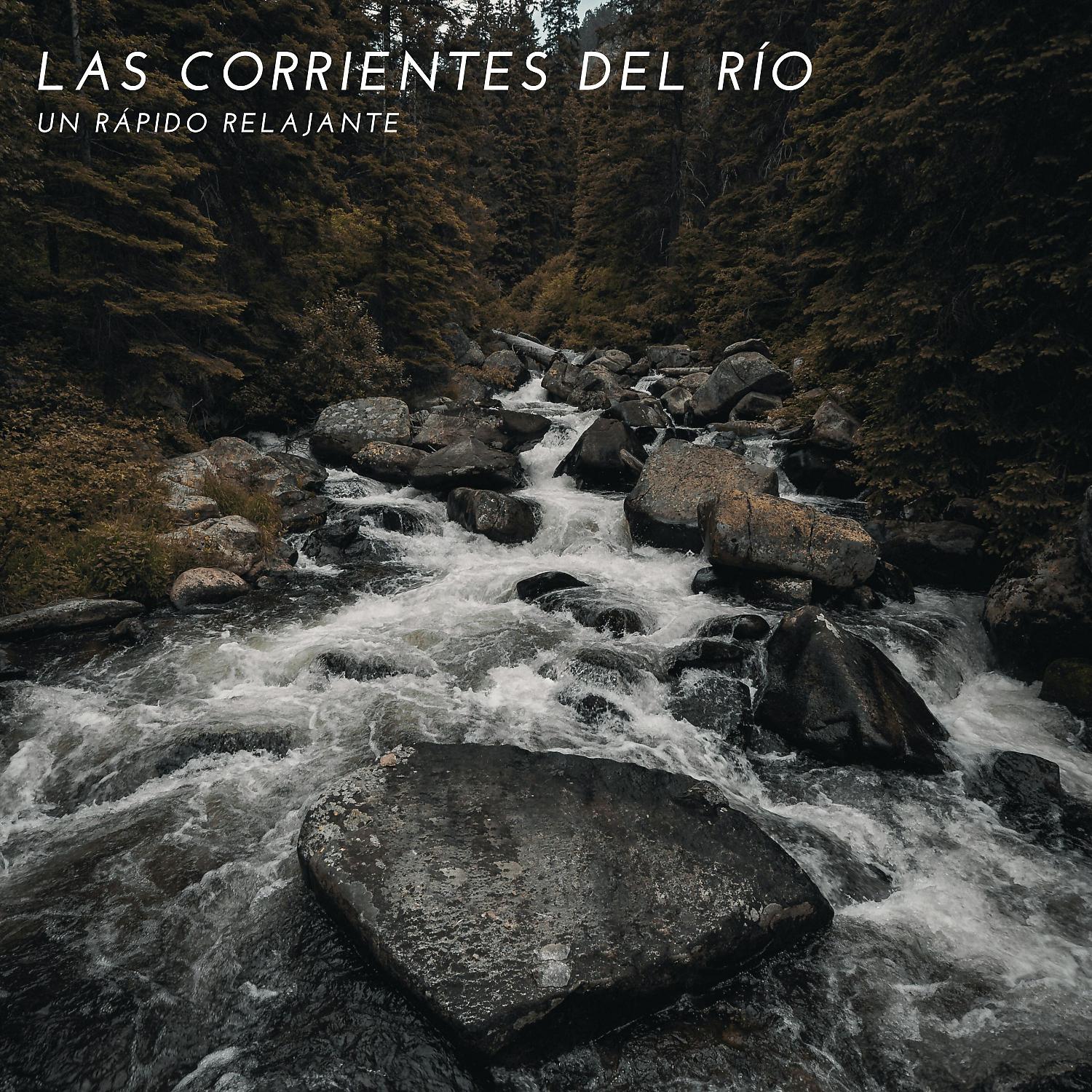 Постер альбома Las Corrientes Del Rio: Un Rápido Relajante