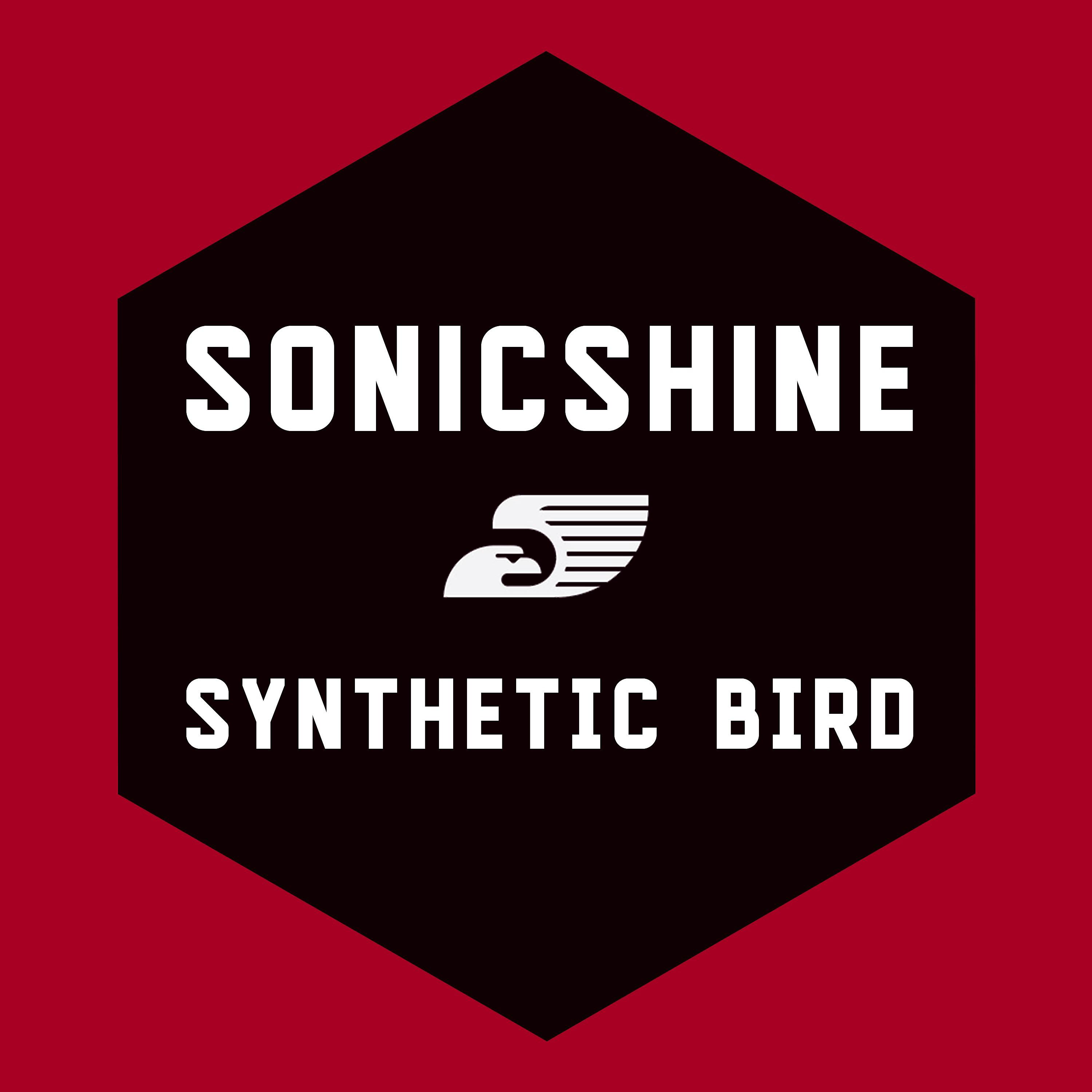 Постер альбома Synthetic Bird