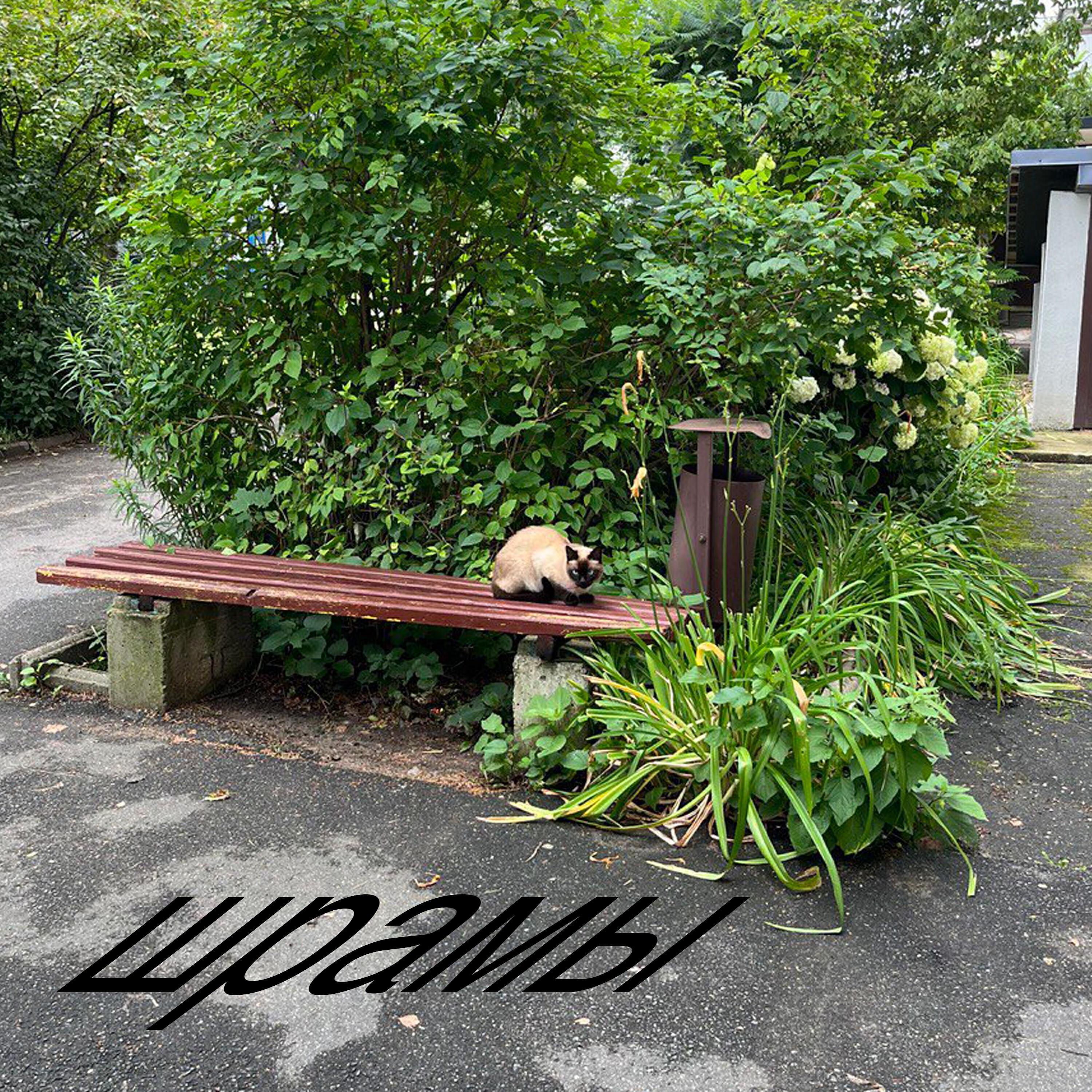 Violetta Sokolova все песни в mp3