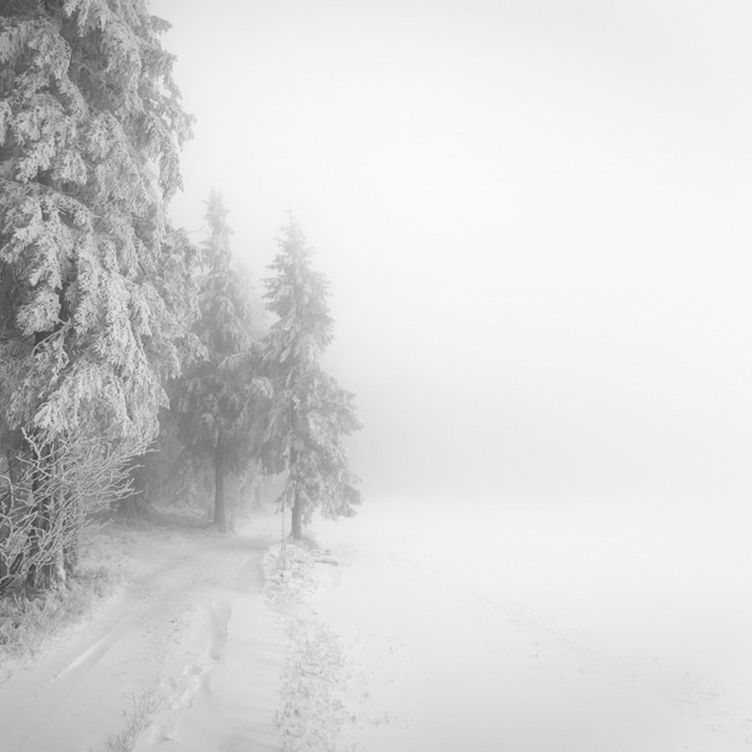 Виталий Русавук все песни в mp3