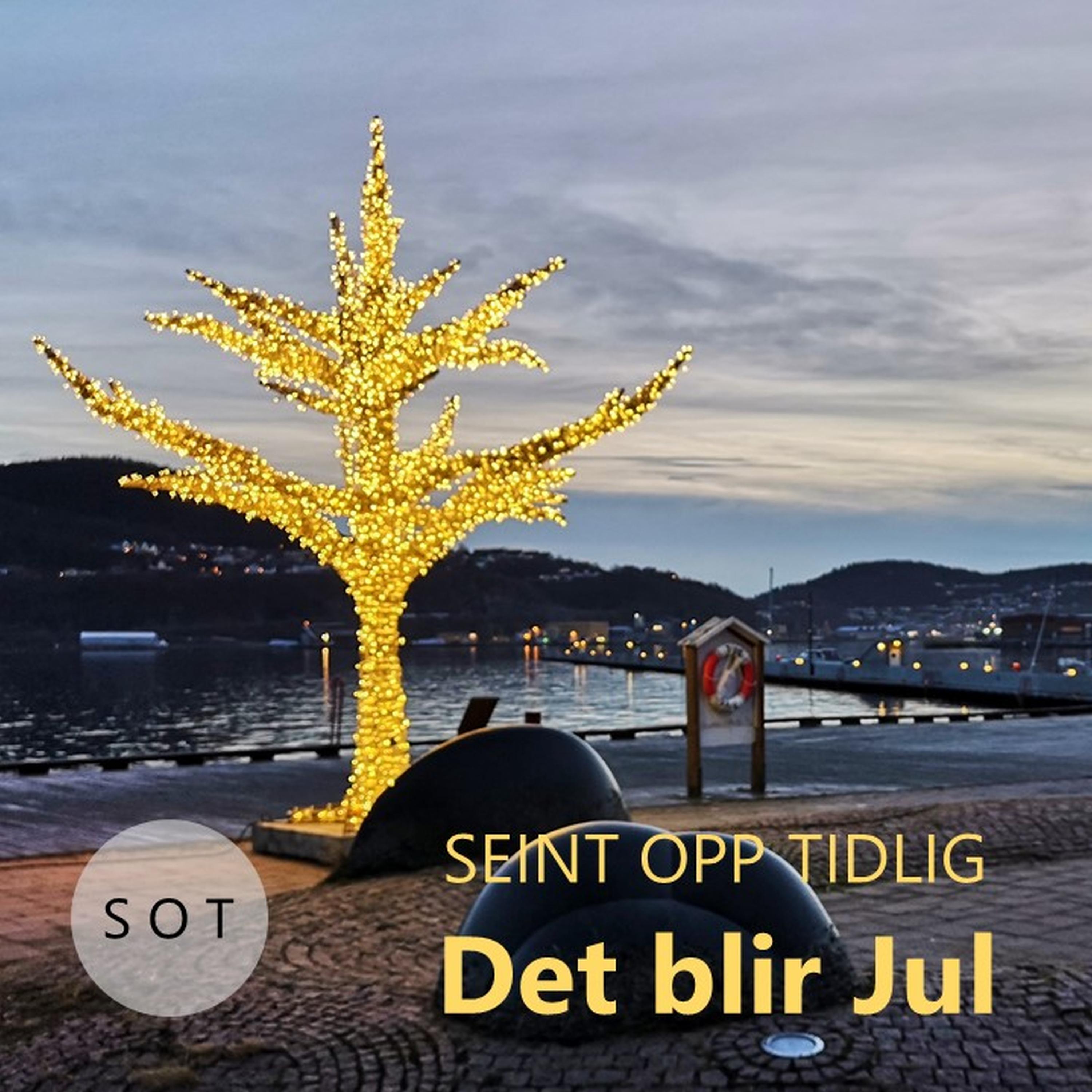 Постер альбома Det blir Jul