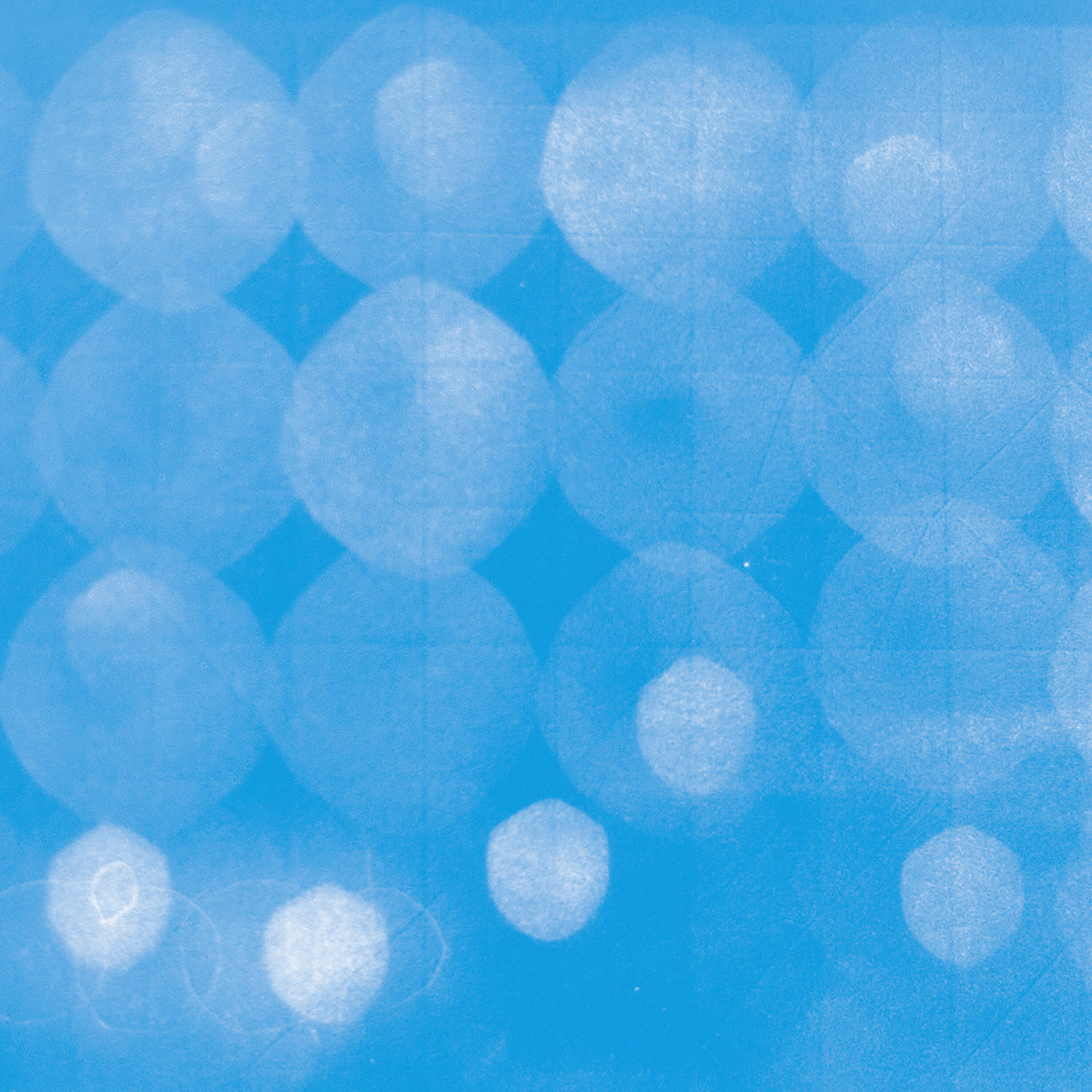 Альбом Objects of Interest исполнителя Magda Mayas, Tina Douglas