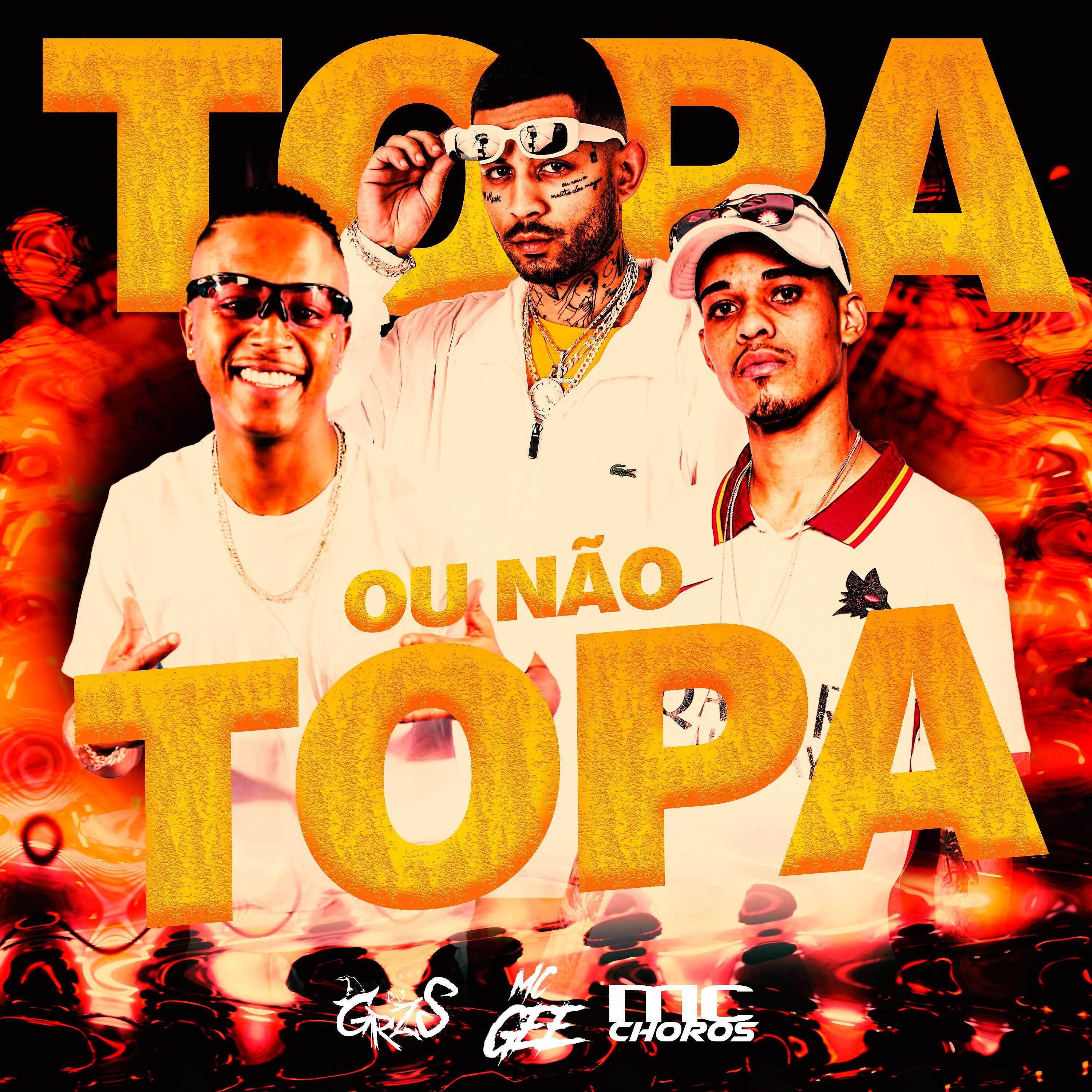 Постер альбома Topa Ou Não Topa