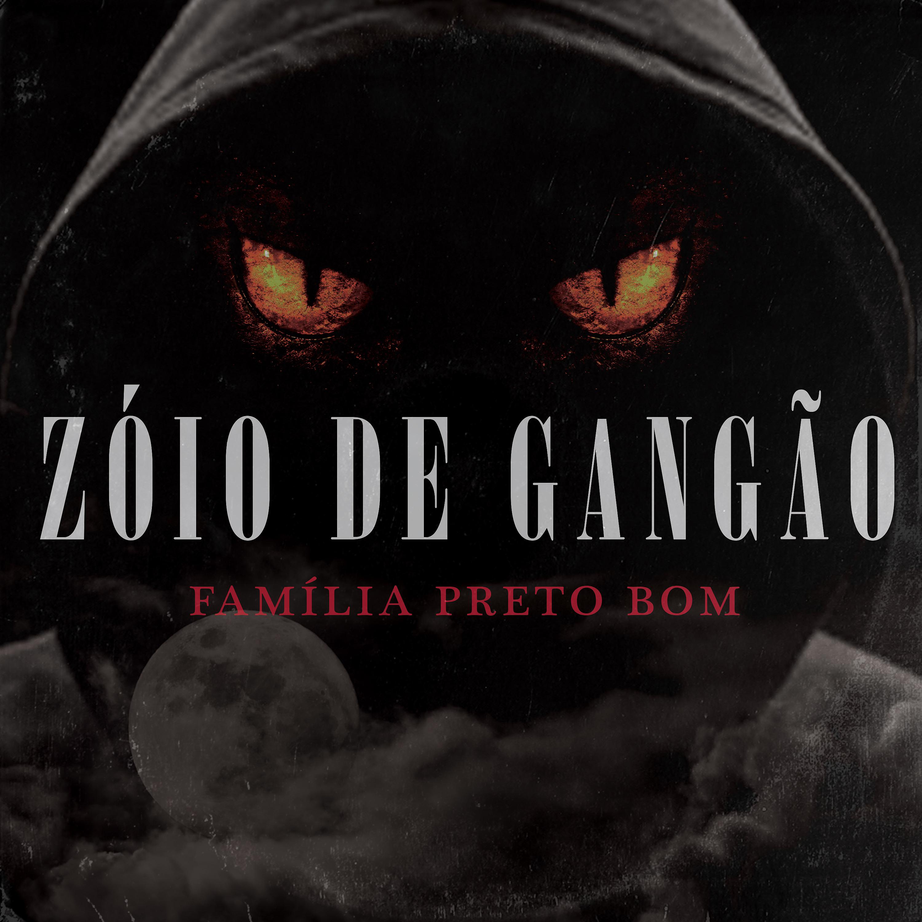 Постер альбома Zóio de Gangão