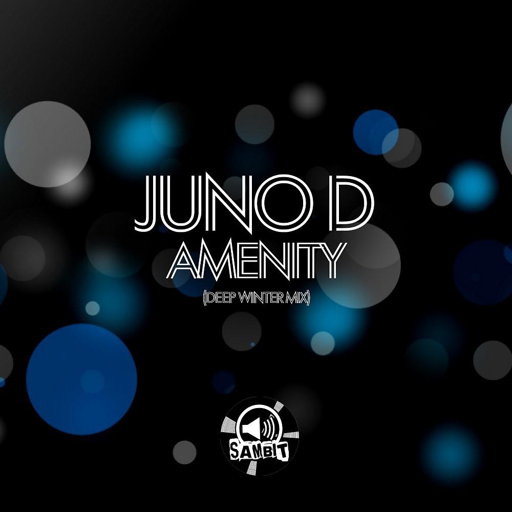 Постер альбома Amenity (Deep Winter Mix)