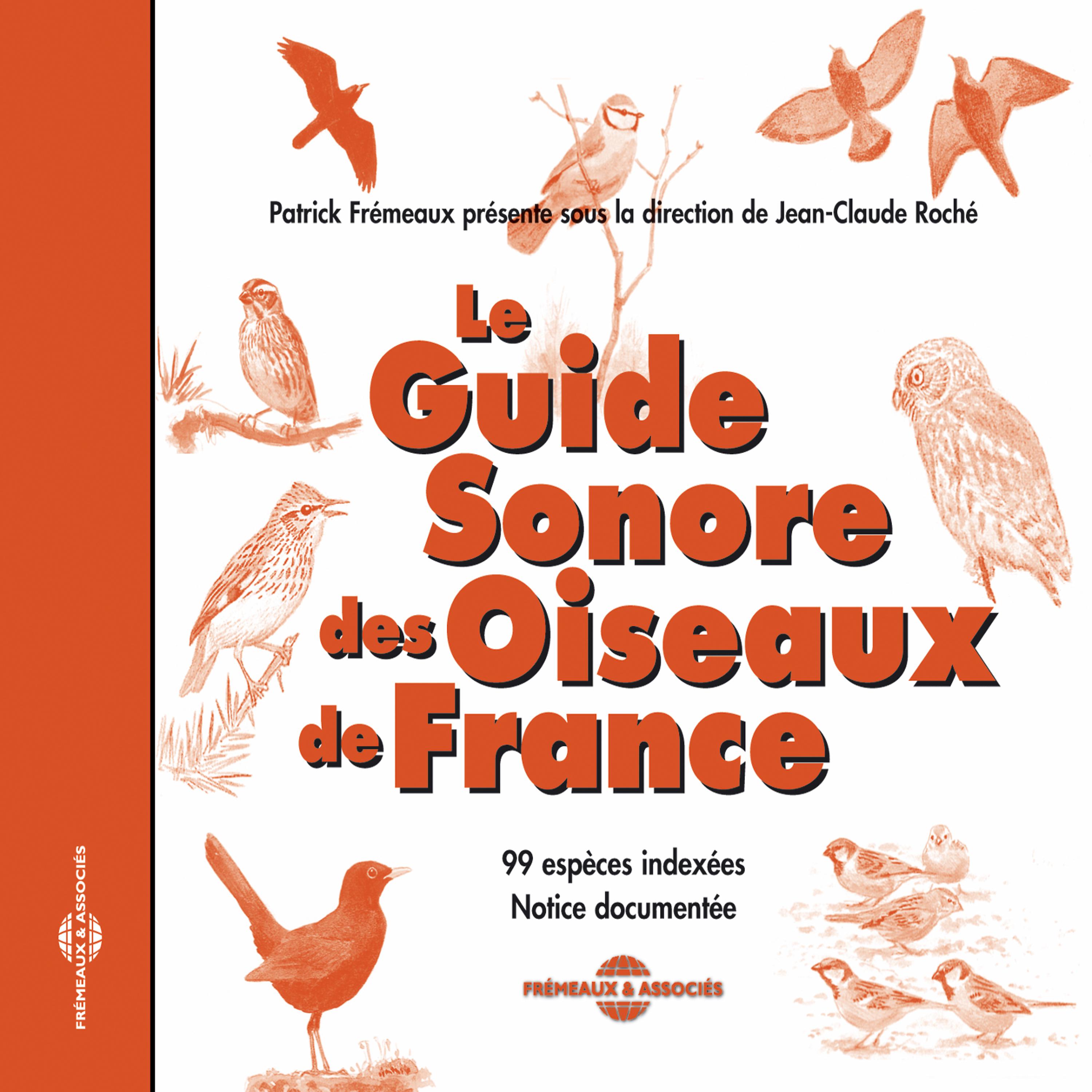 Wood Pigeon - Wood Pigeon