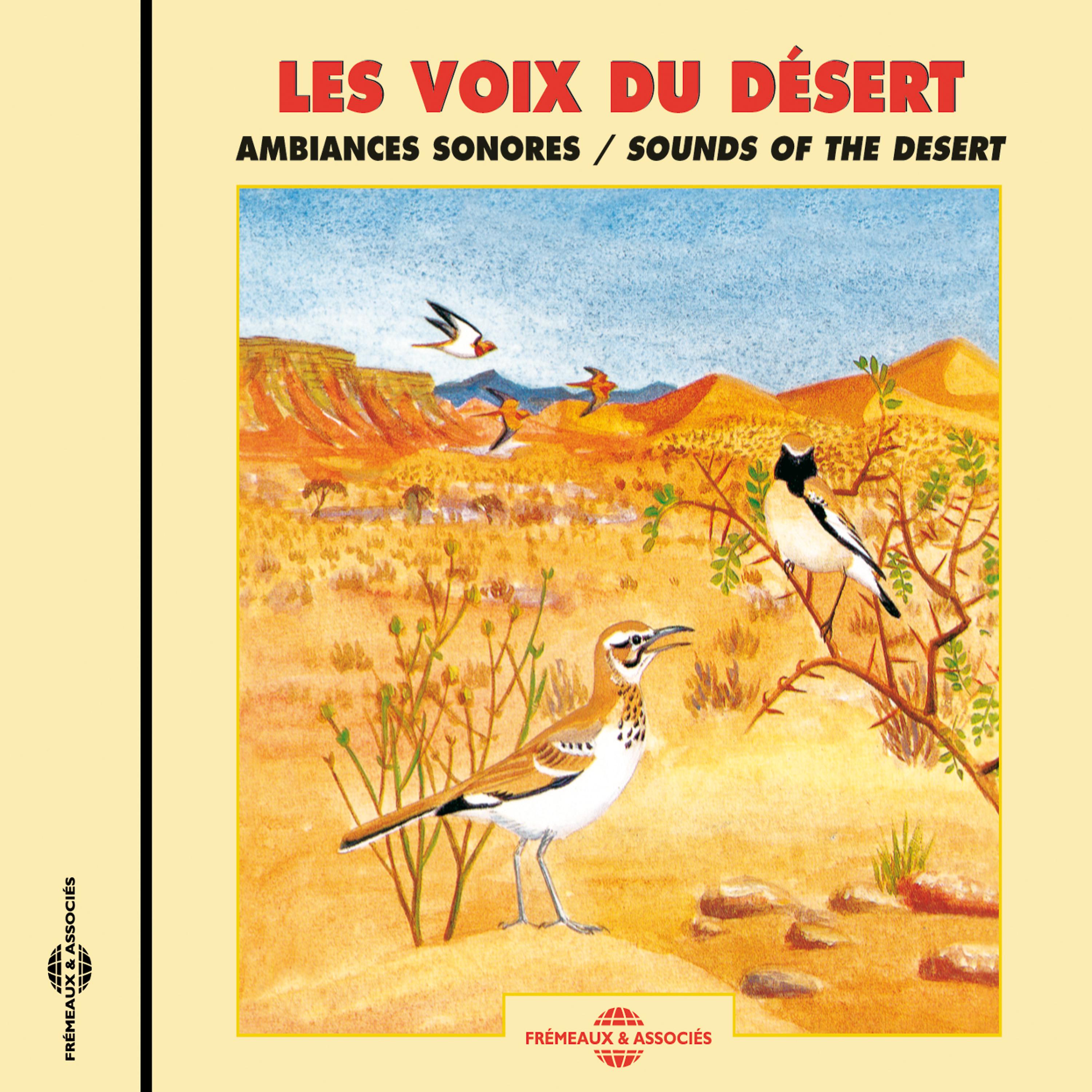 Постер альбома Les Voix Du Désert