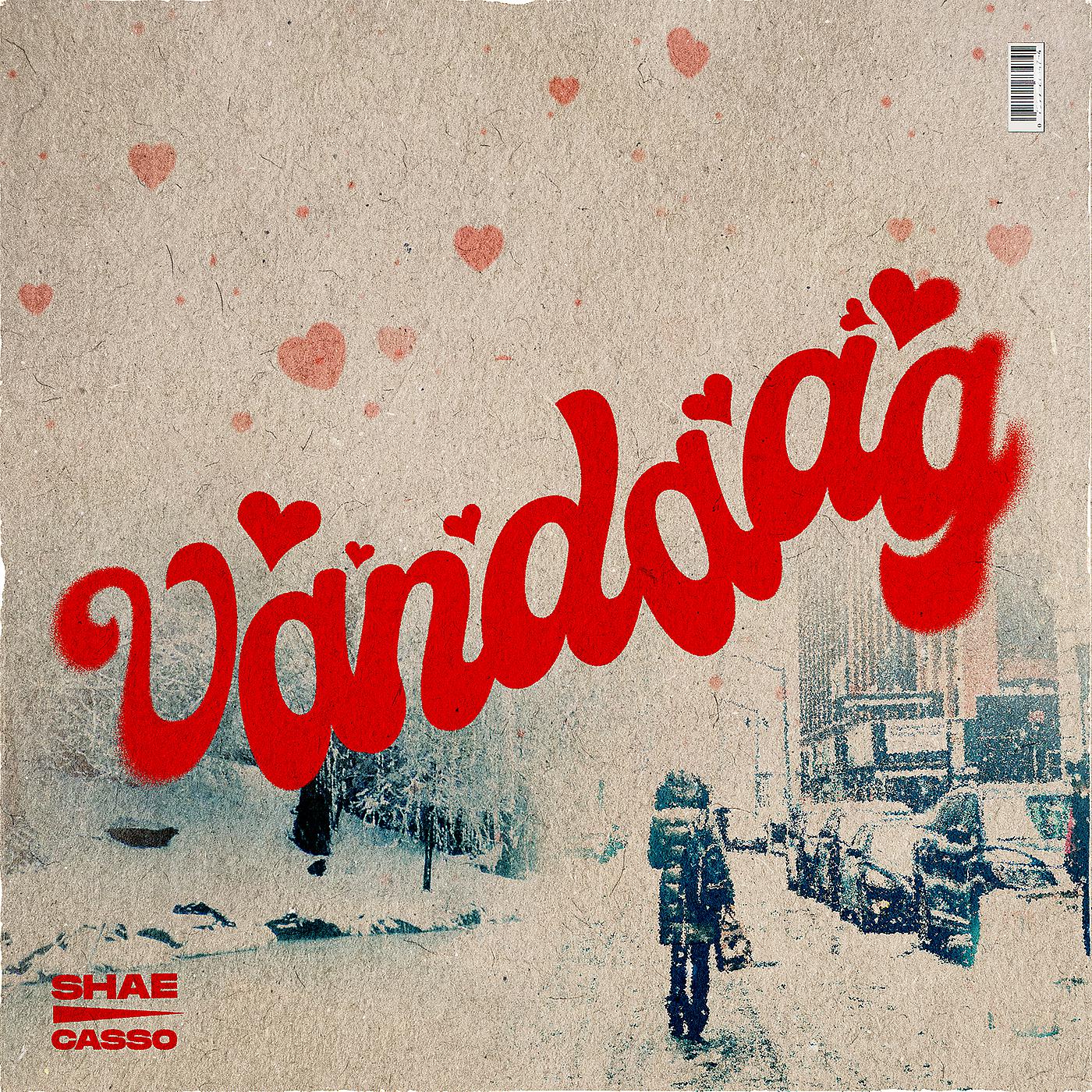 Постер альбома Vandaag