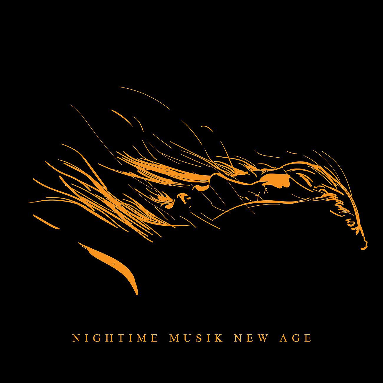 Постер альбома Nightime Musik New Age