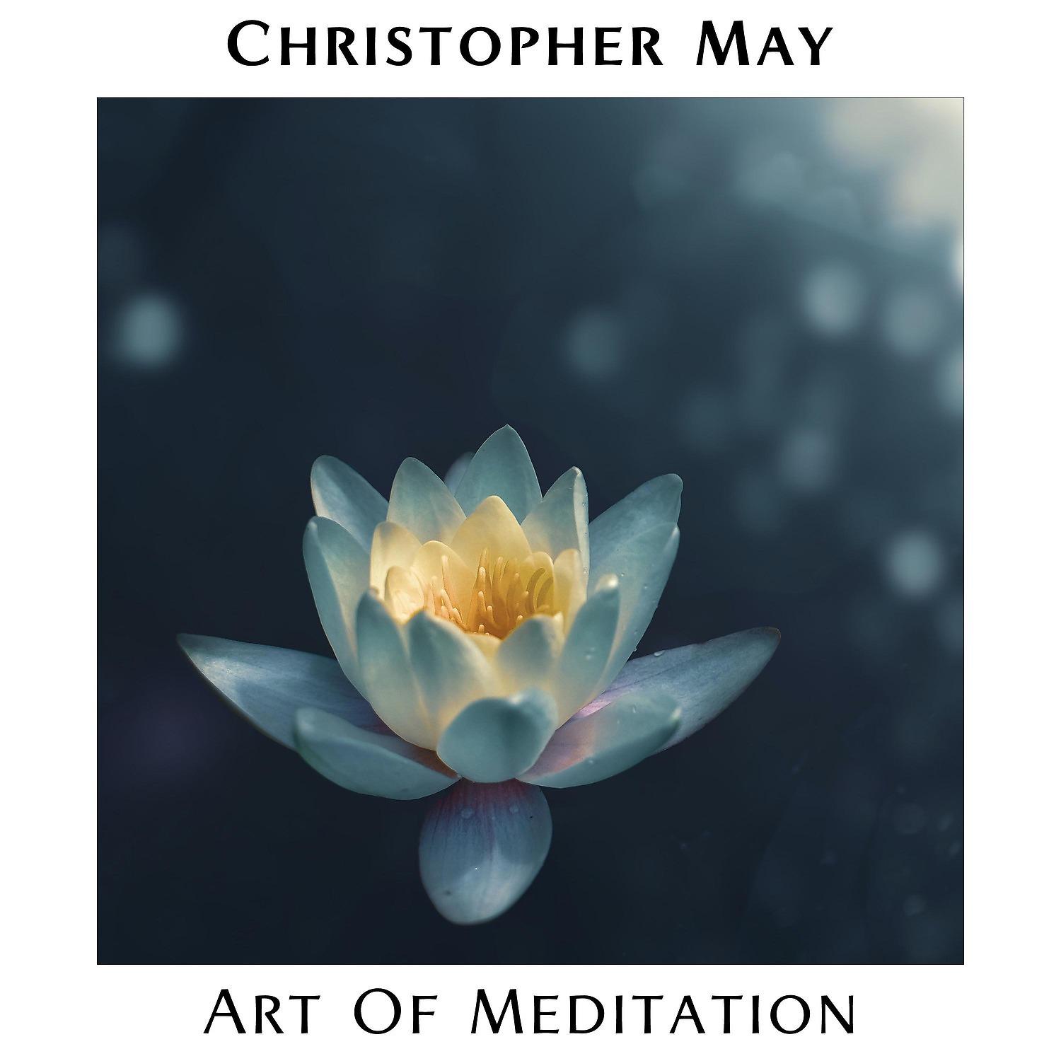 Постер альбома Art of Meditation