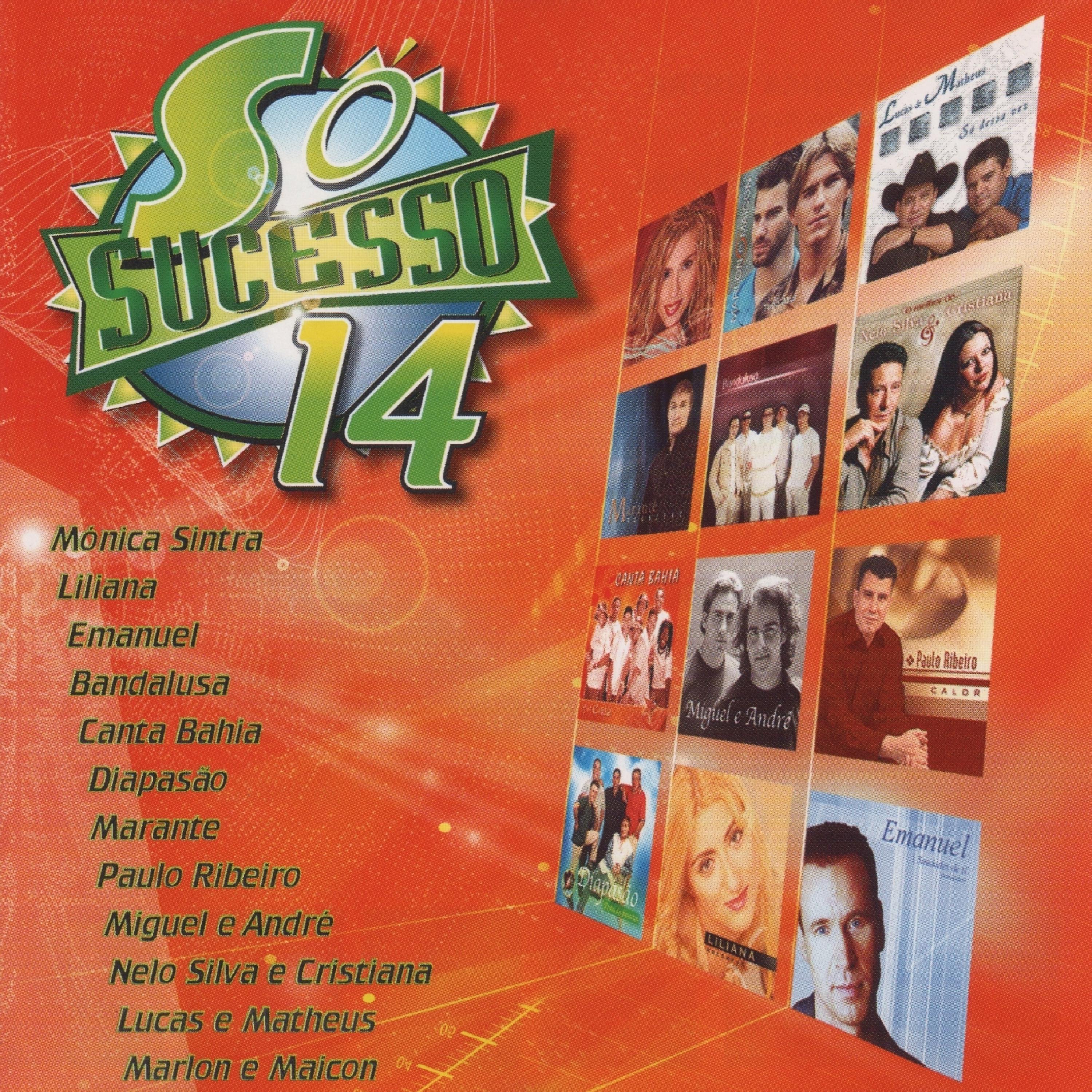 Постер альбома Só Sucesso 14
