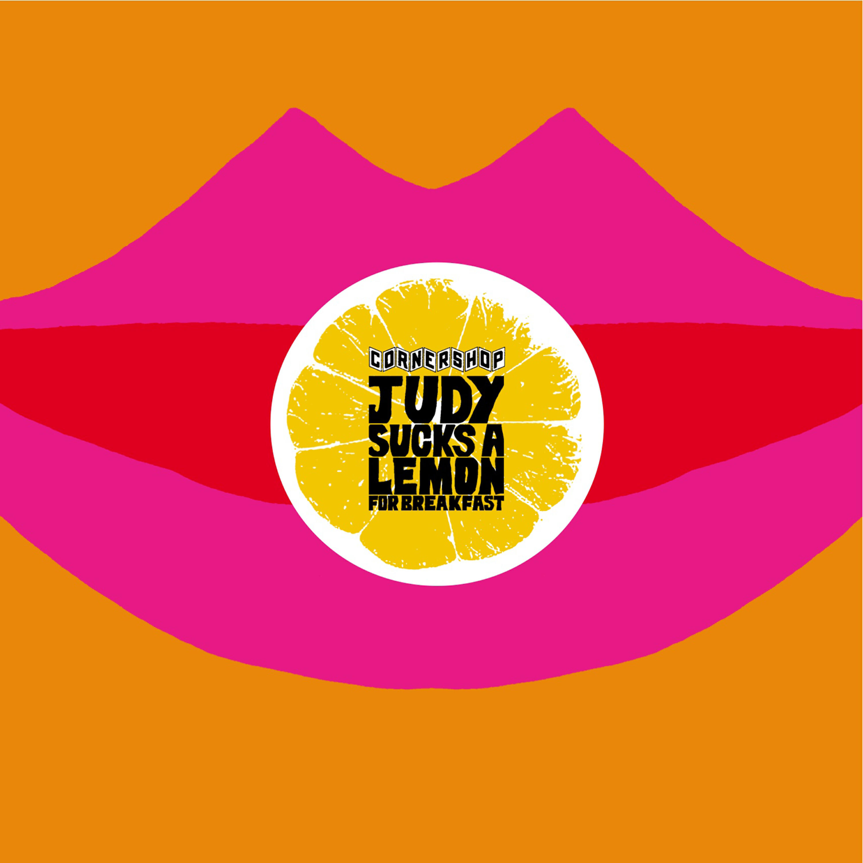 Cornershop - The Constant Springs