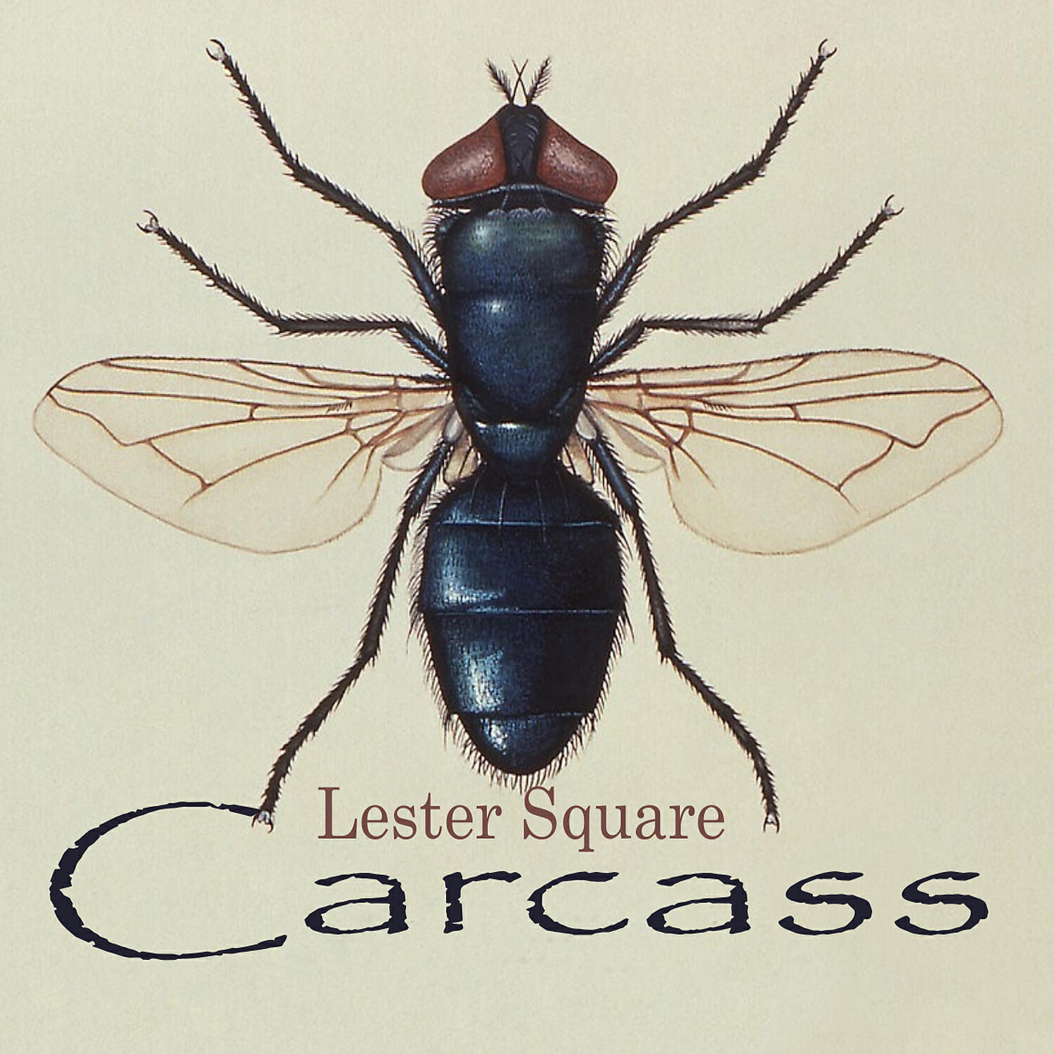 Lester Square - Carcass