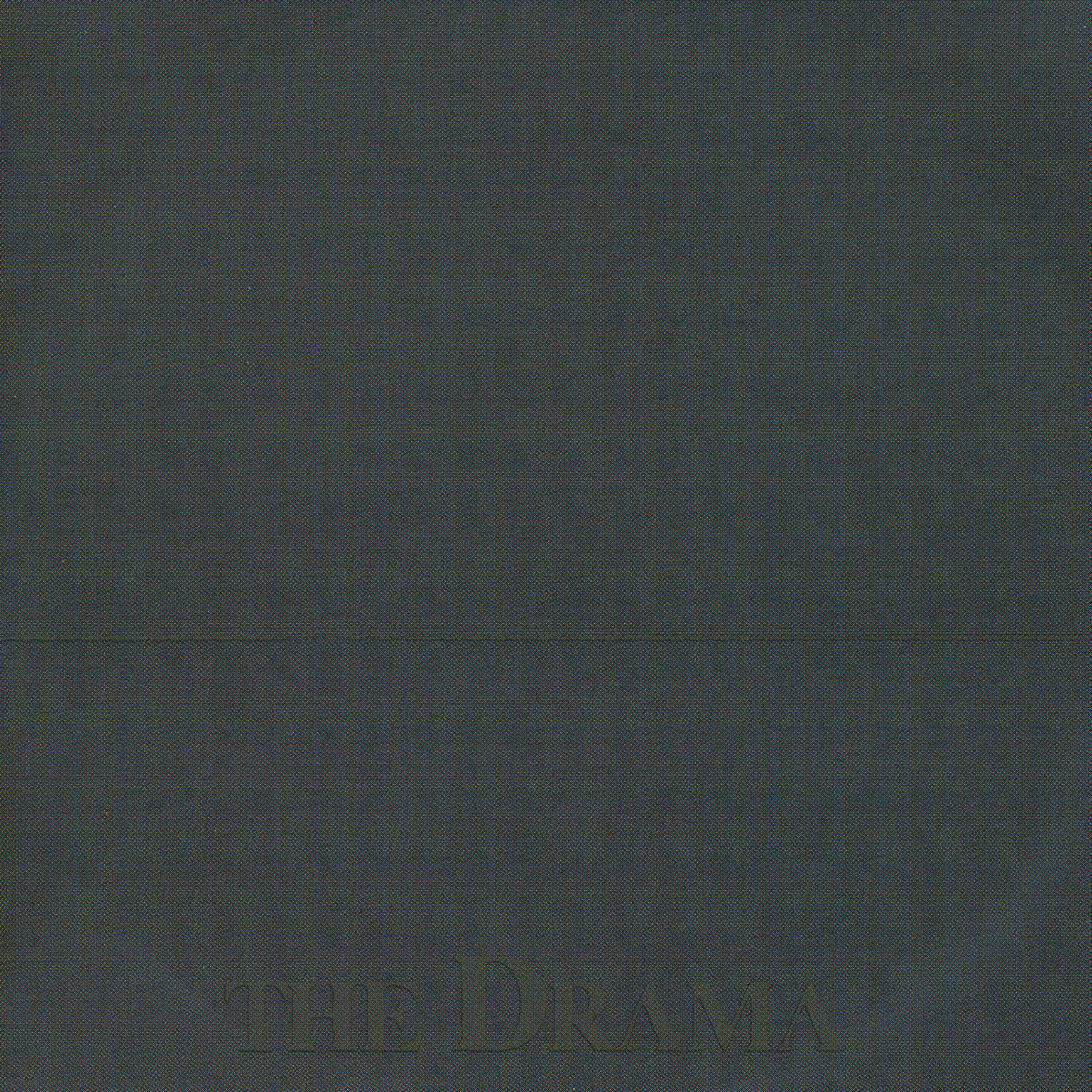 The Drama - Cops Kiss And Drool
