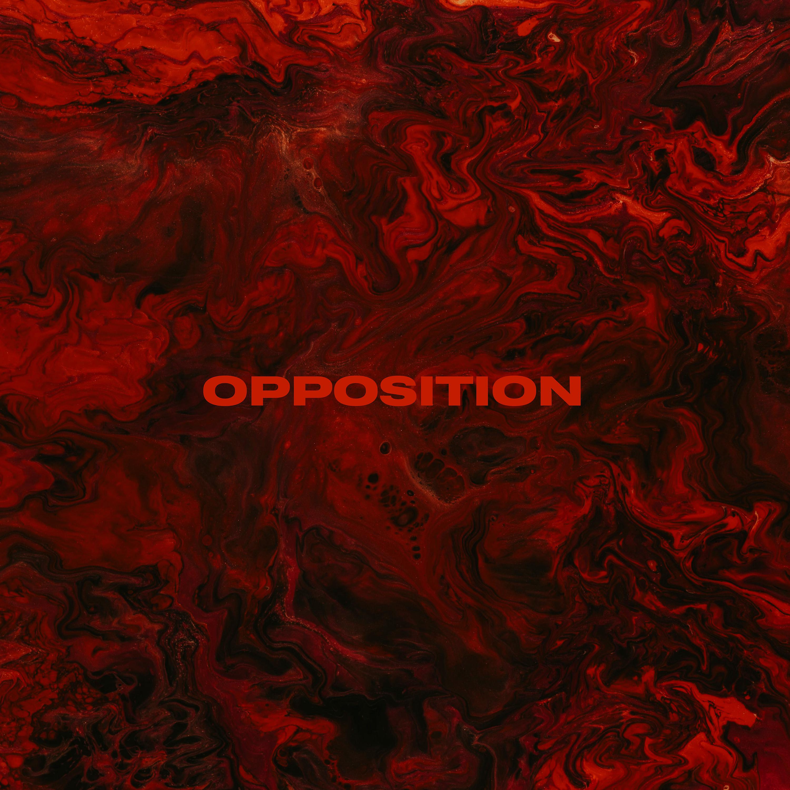Постер альбома Opposition