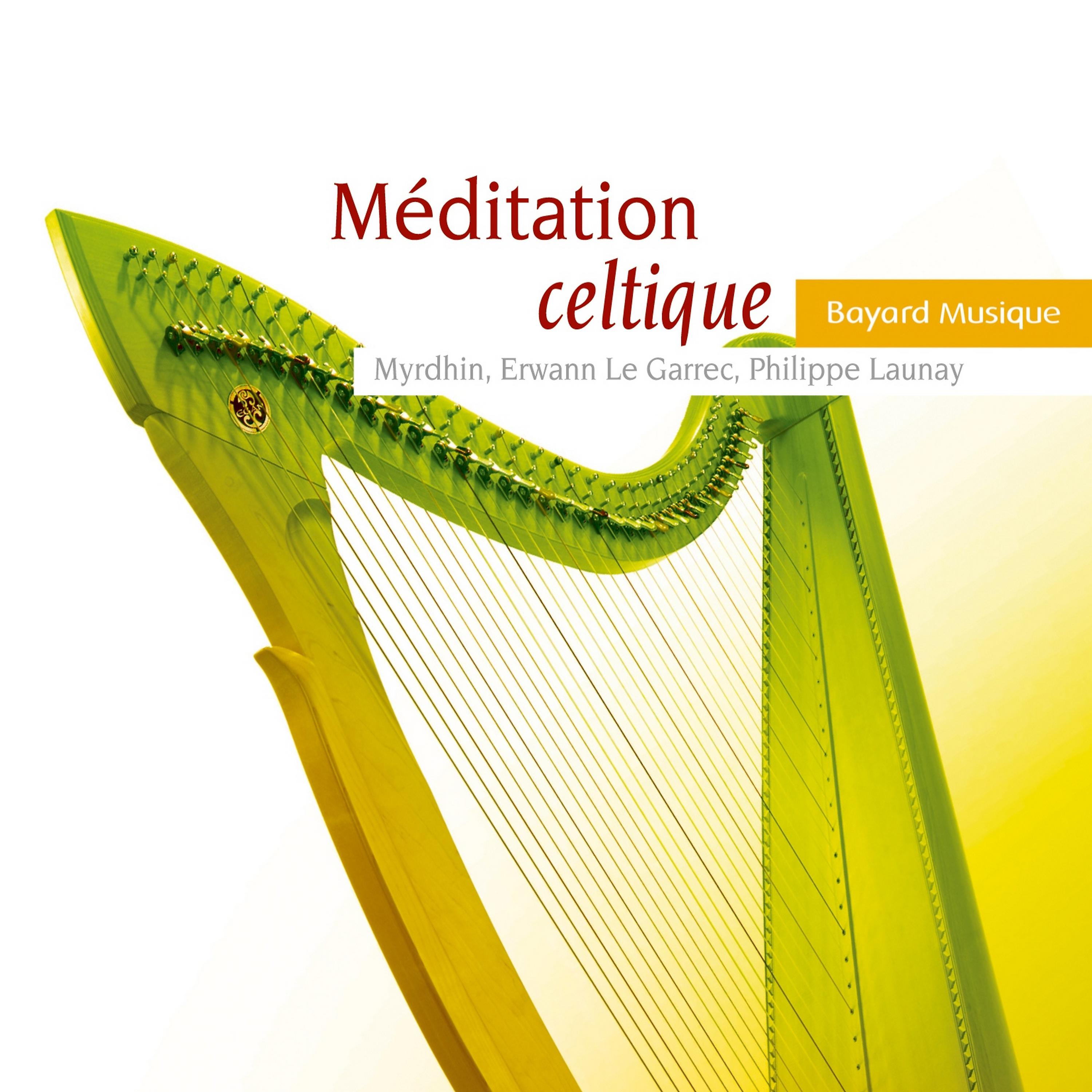Постер альбома Méditation celtique