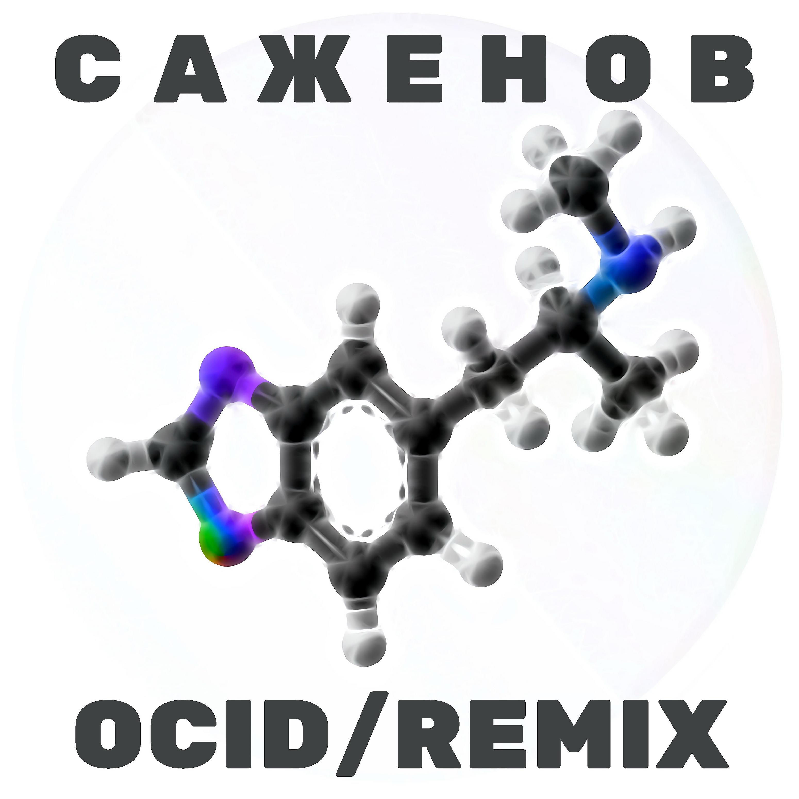 Постер альбома Ocid (Remix)