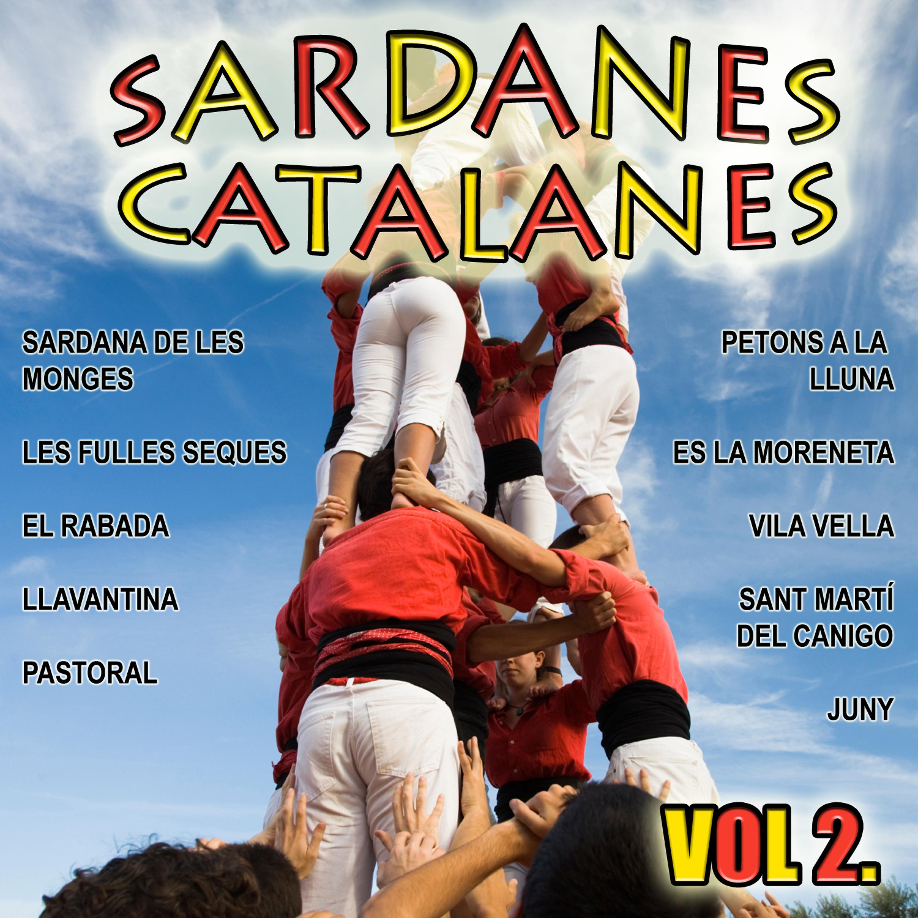 Постер альбома Sardanes Catalanes Vol.2